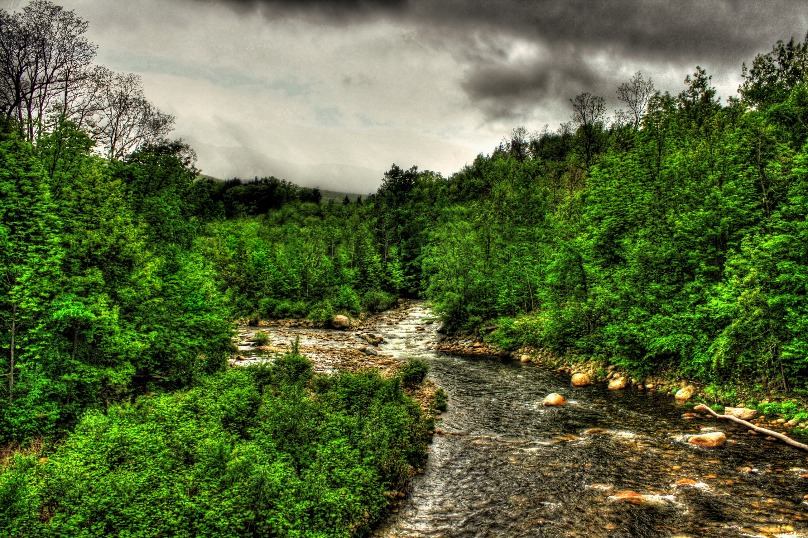 walloomsac, river, bennington, vermont, природа, реки, озера, берег, река, лес