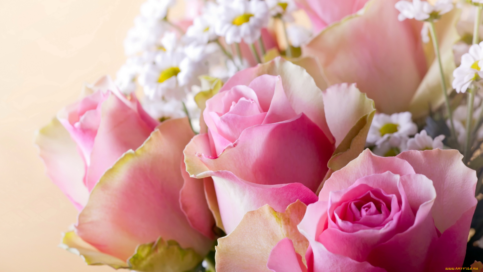 цветы, букеты, , композиции, розы, букет, ромашки