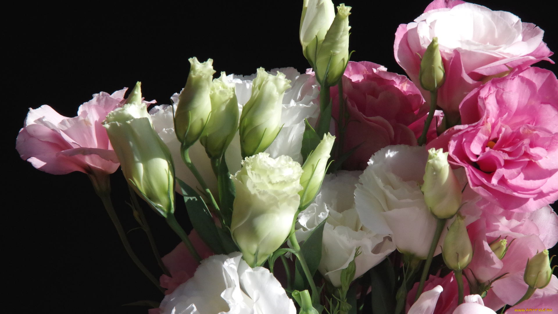 цветы, эустома, букет