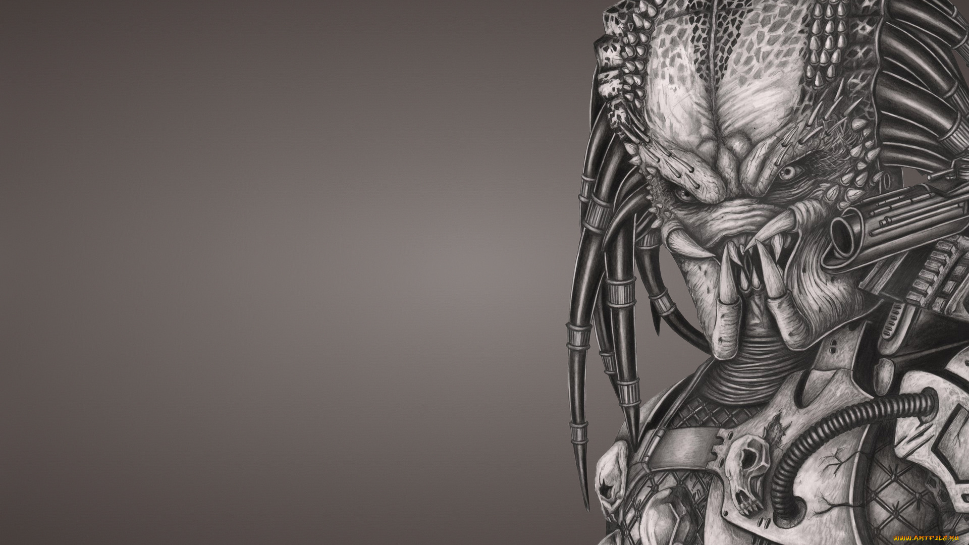хищник, рисованные, минимализм, пришелец, alien, predator, инопланетянин