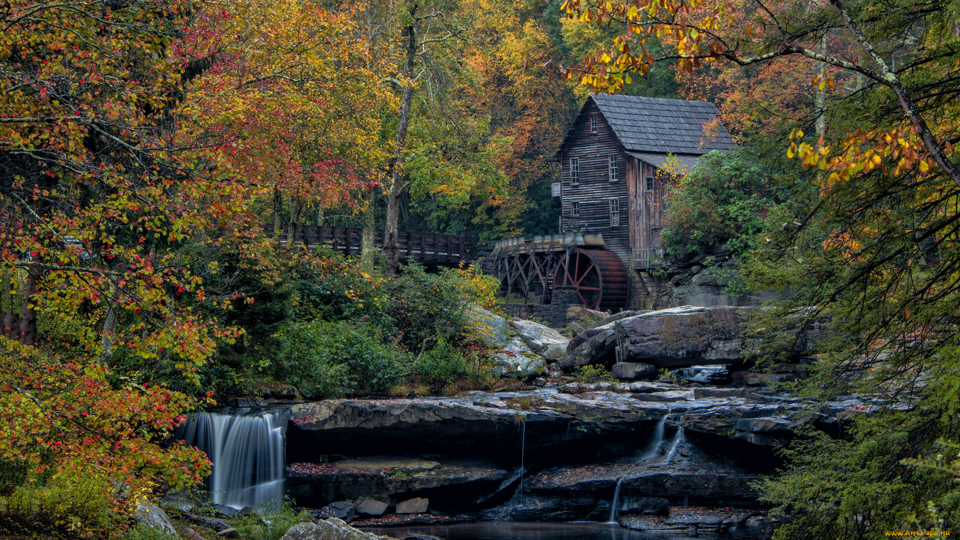 природа, пейзажи, лес