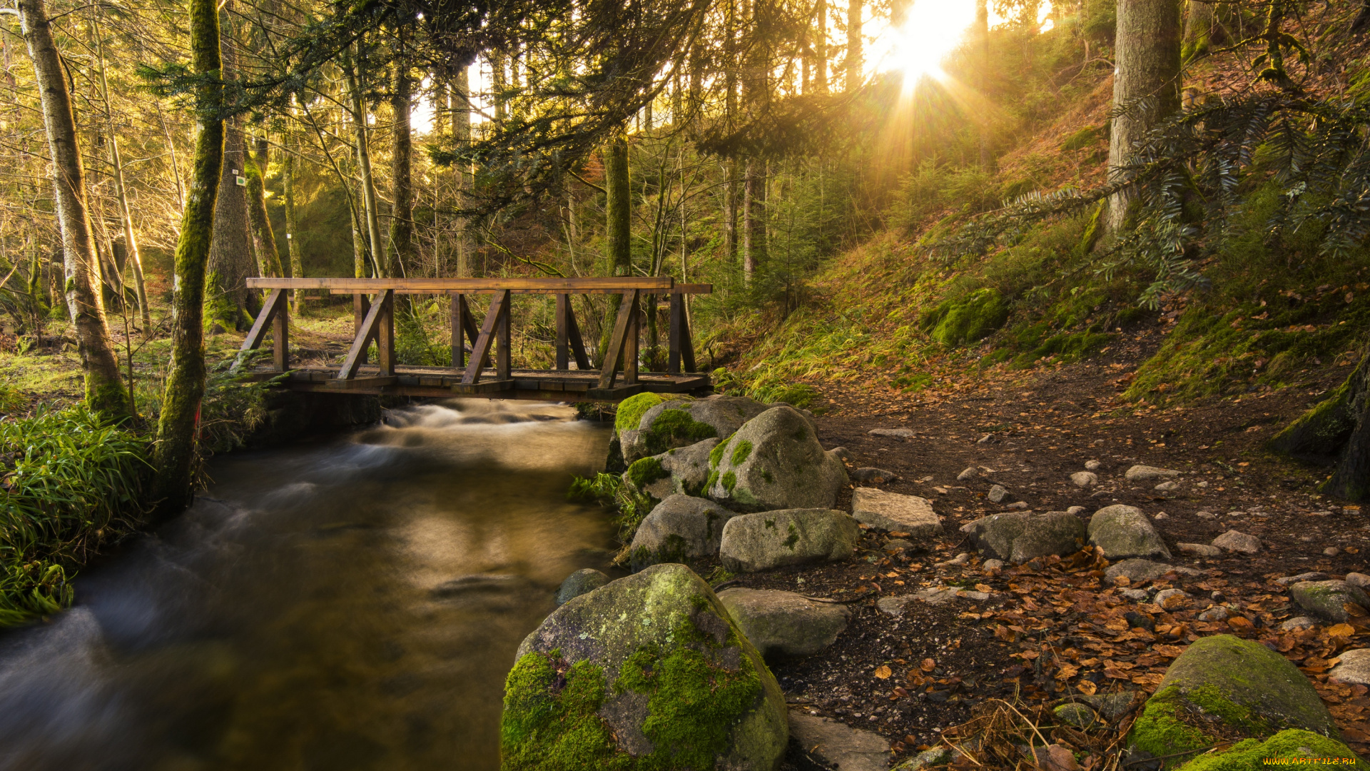 природа, реки, озера, лес