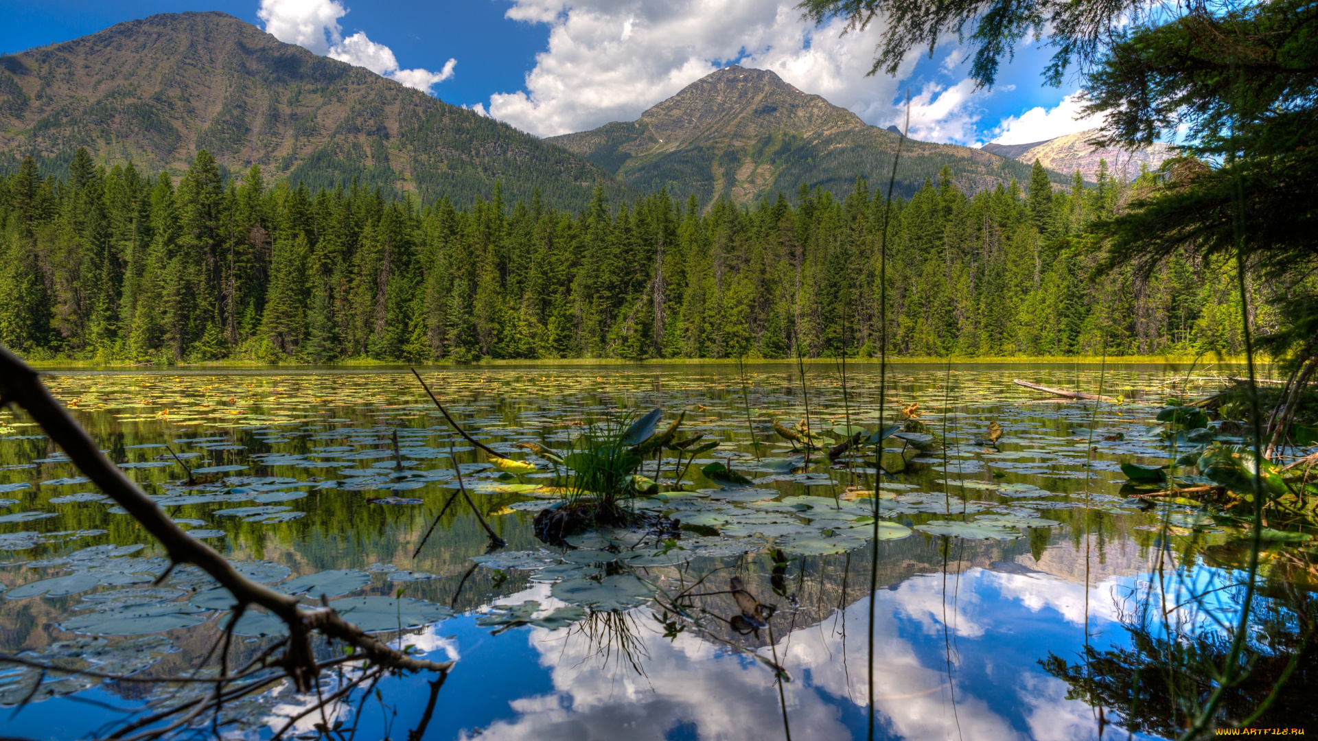 природа, реки, озера, национальный, парк, сша, америка