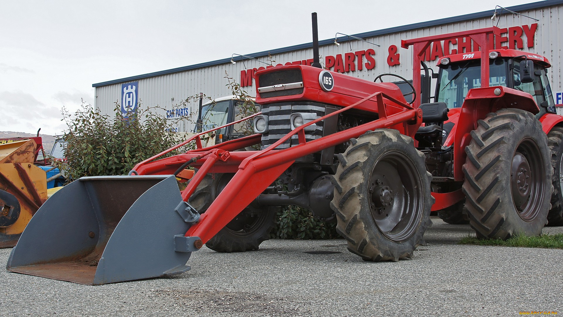 massey, ferguson, 165, tractor, техника, тракторы, колесный, трактор