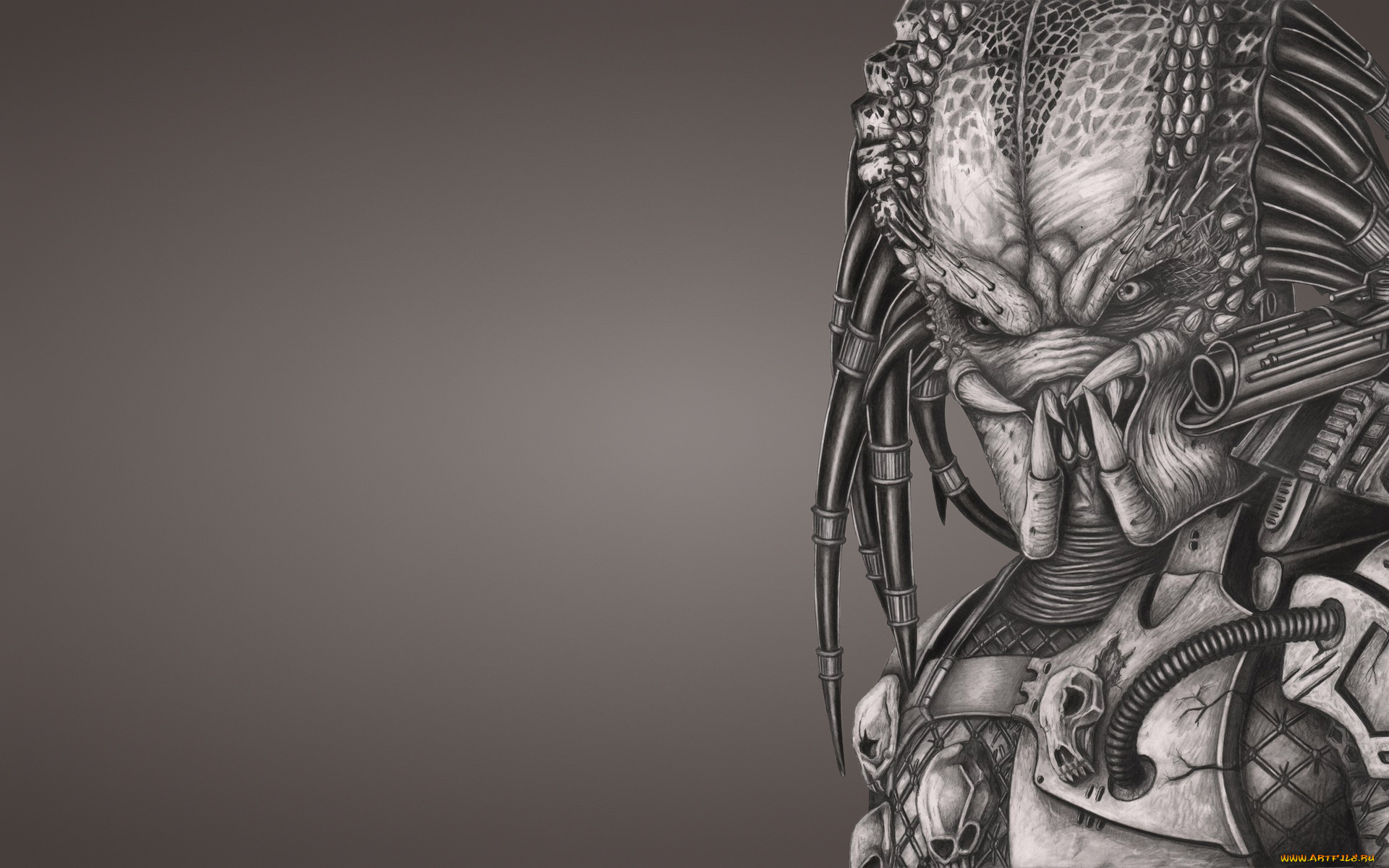 хищник, рисованные, минимализм, пришелец, alien, predator, инопланетянин