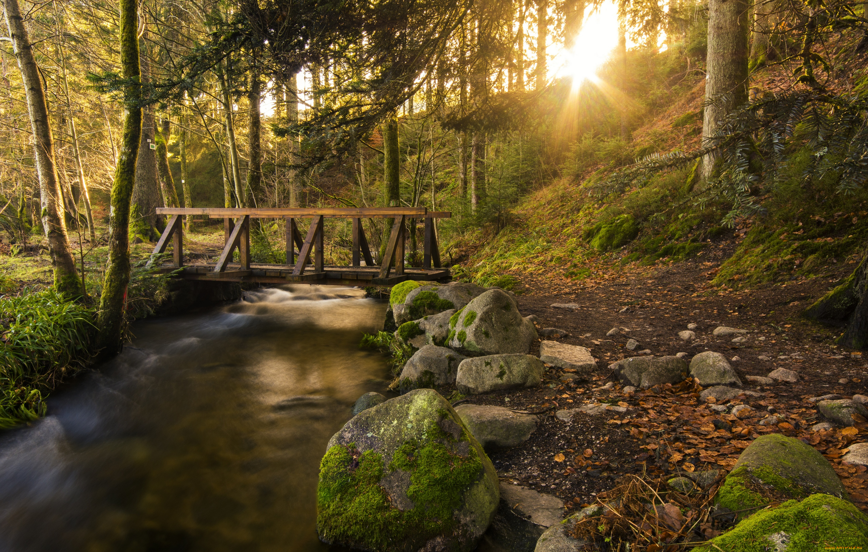 природа, реки, озера, лес