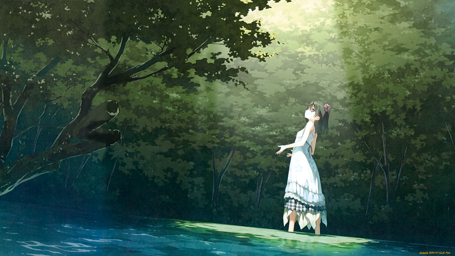 аниме, kantoku, , artbook, зелень, деревья, лес, девушка, арт, kantoku