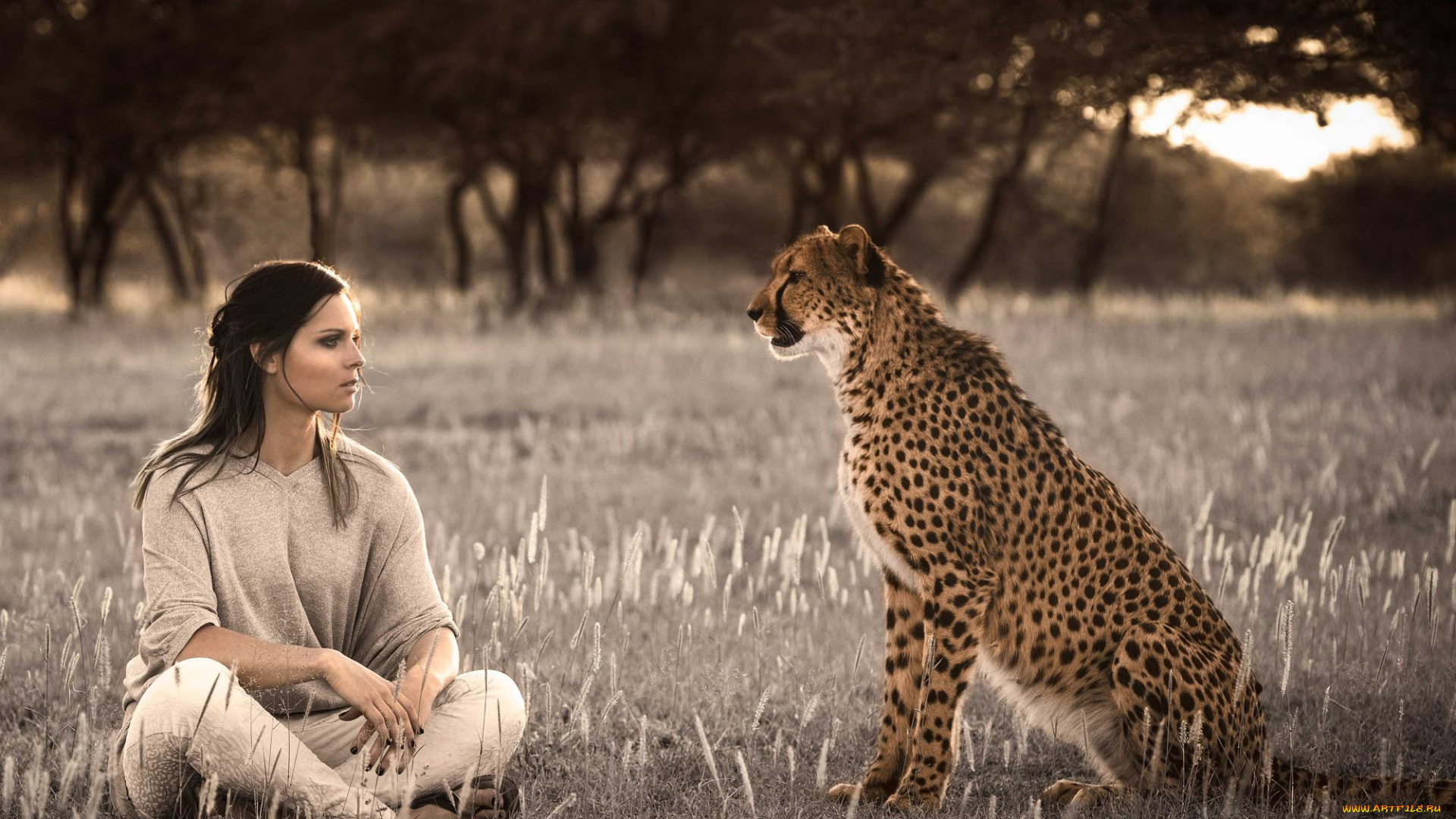 anna, fenninger, девушки, девушка, взгляд, гепард