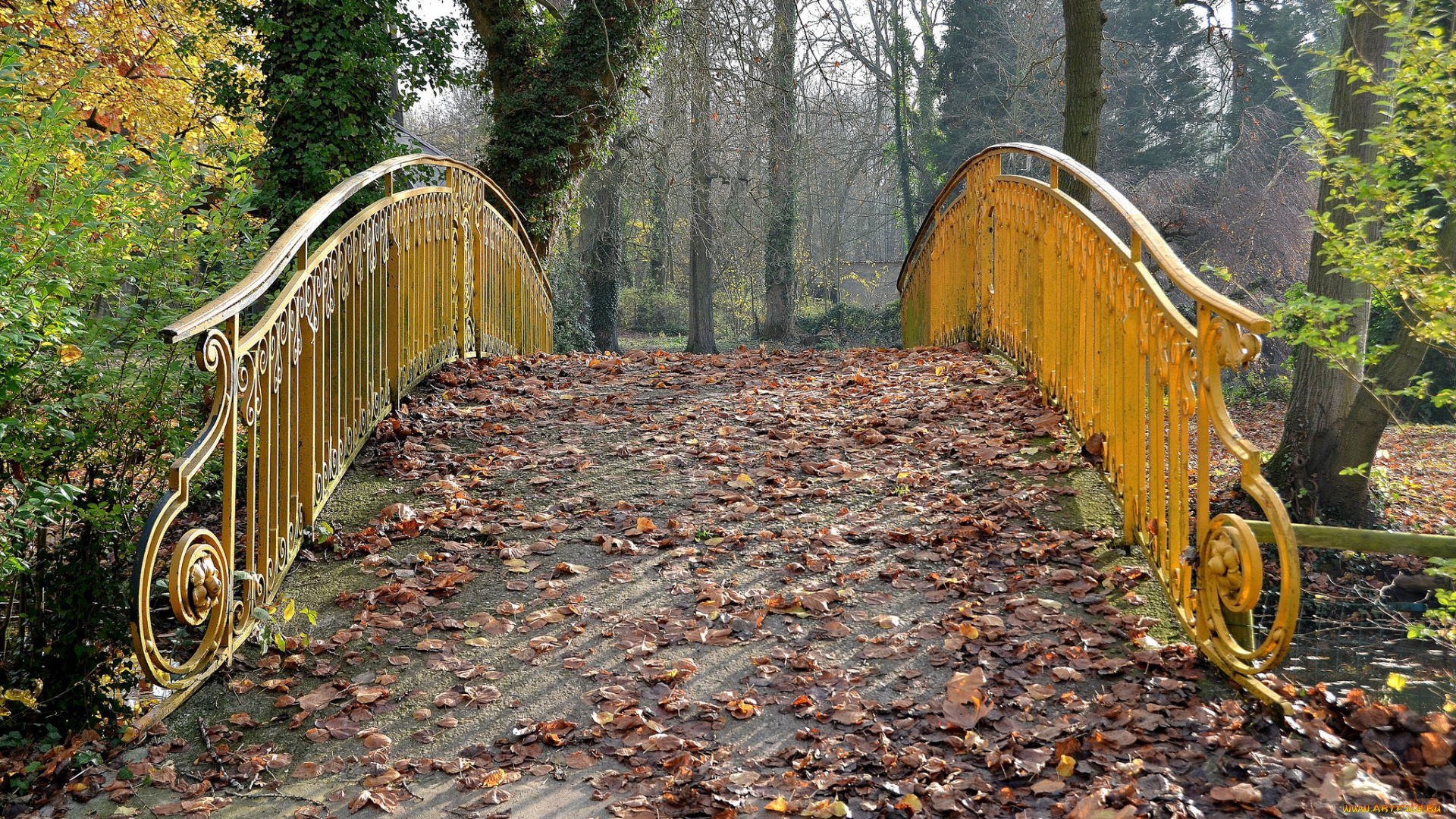 природа, дороги, мостик, листва, дорожка, осень