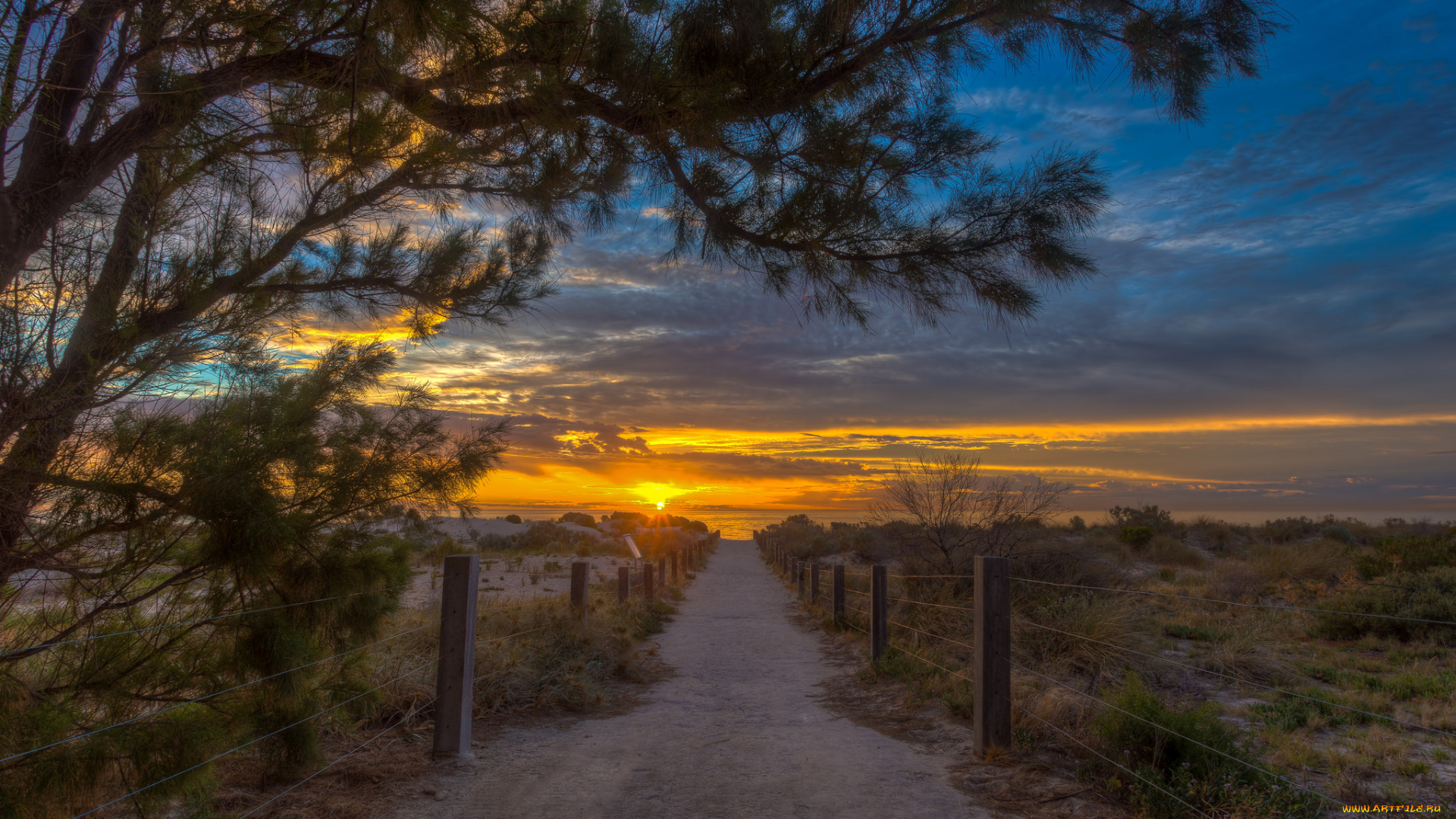 природа, дороги, рассвет, изгородь, дорога, степь
