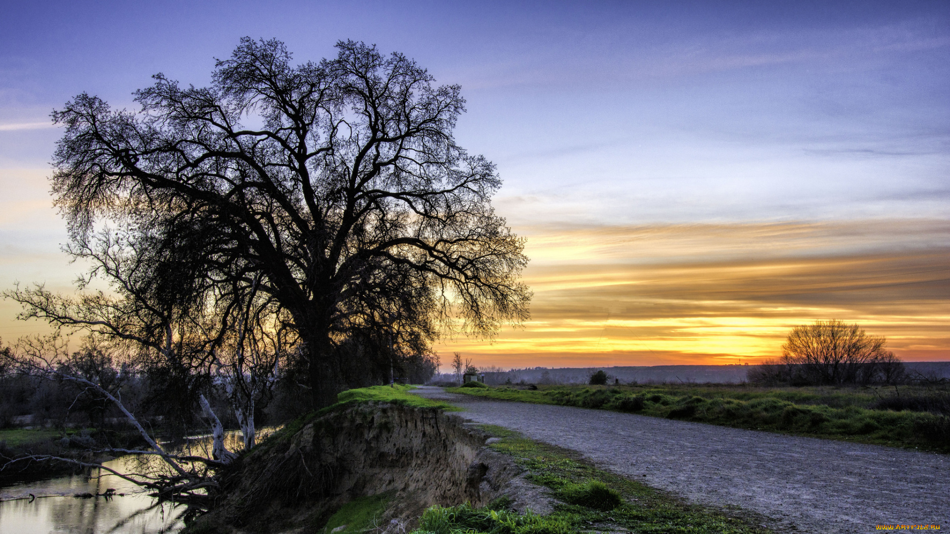 природа, дороги, река, заря, дерево, дорога