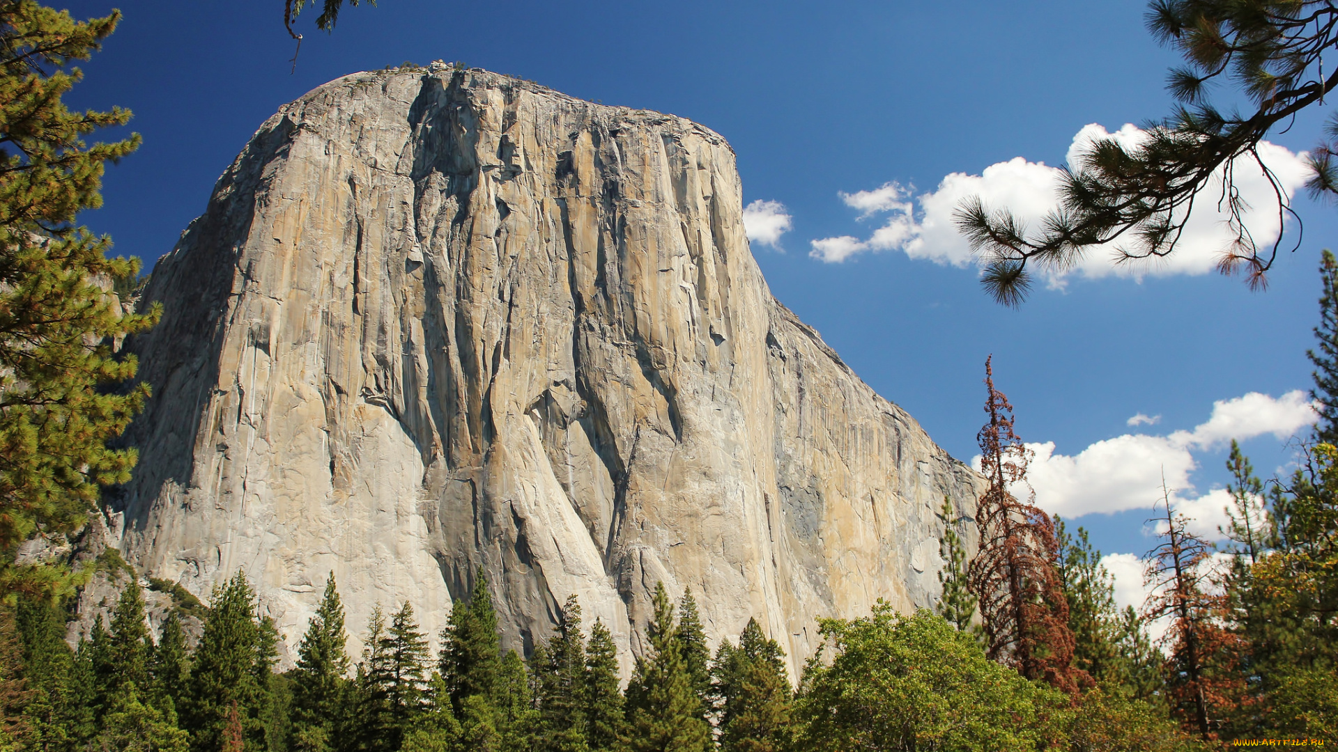 природа, горы, лес, гора