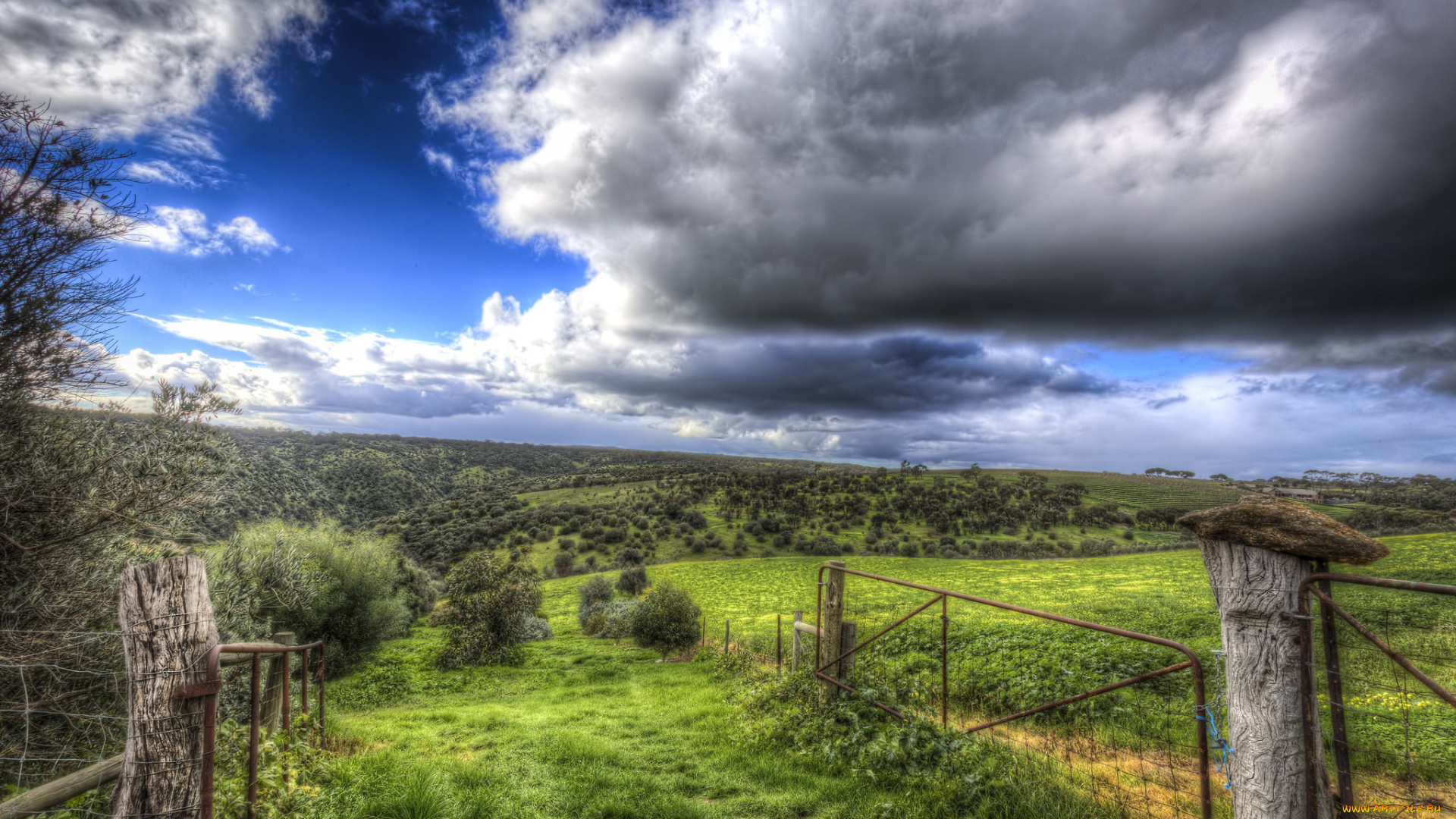 природа, луга, поле, изгородь, тучи