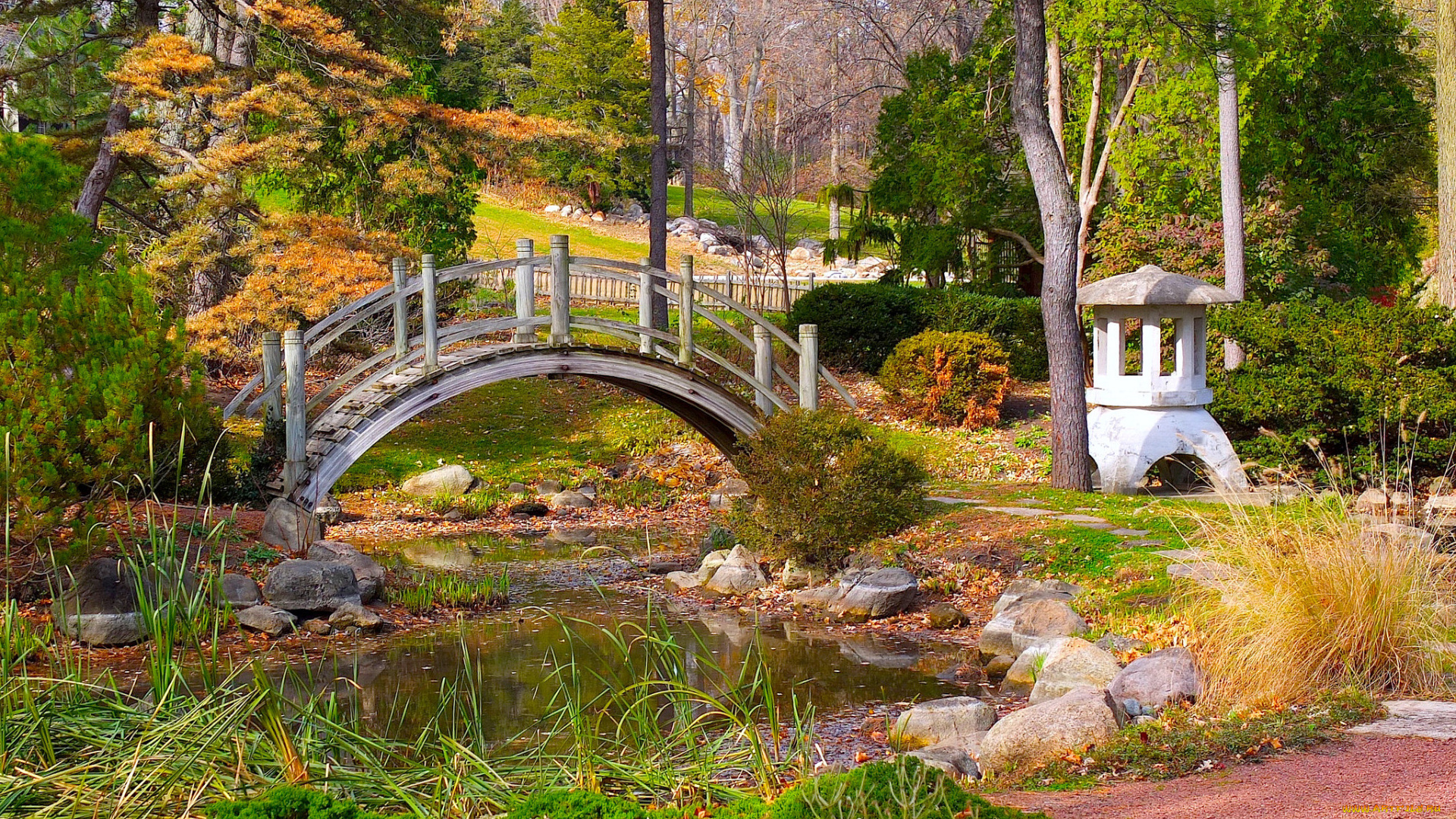 природа, парк, ручей, мост