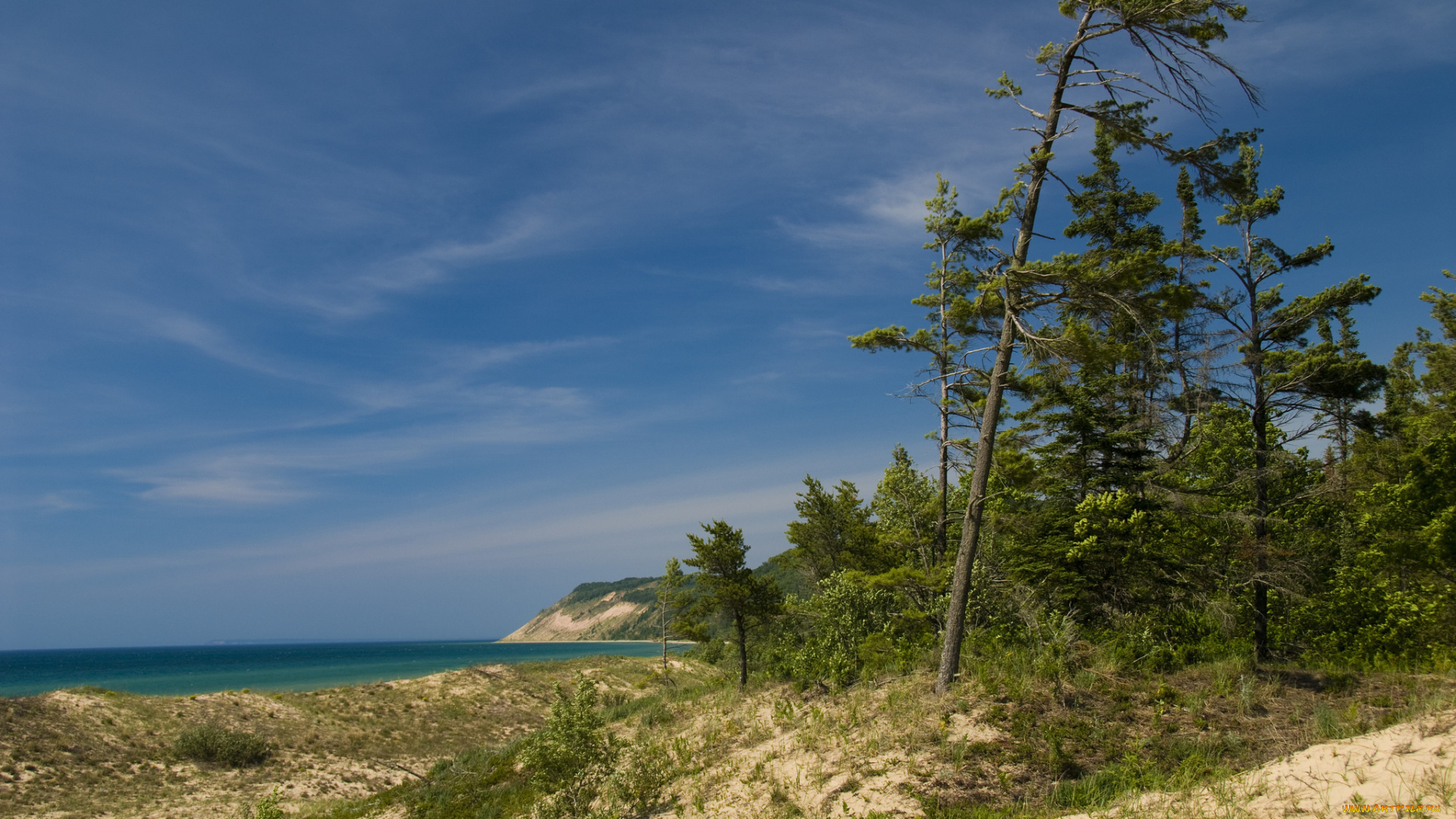 природа, побережье, песок, трава, деревья, небо, море, берег