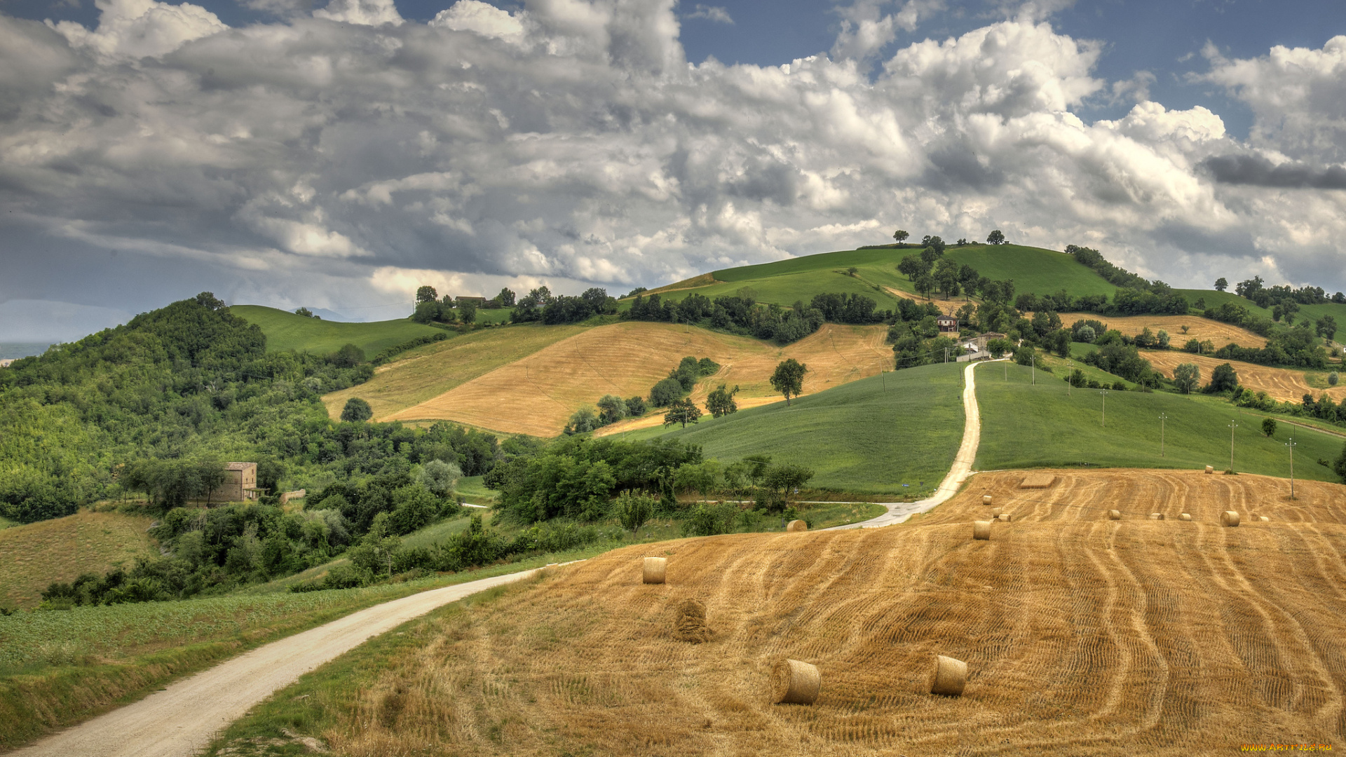 природа, поля, тракт, холмы