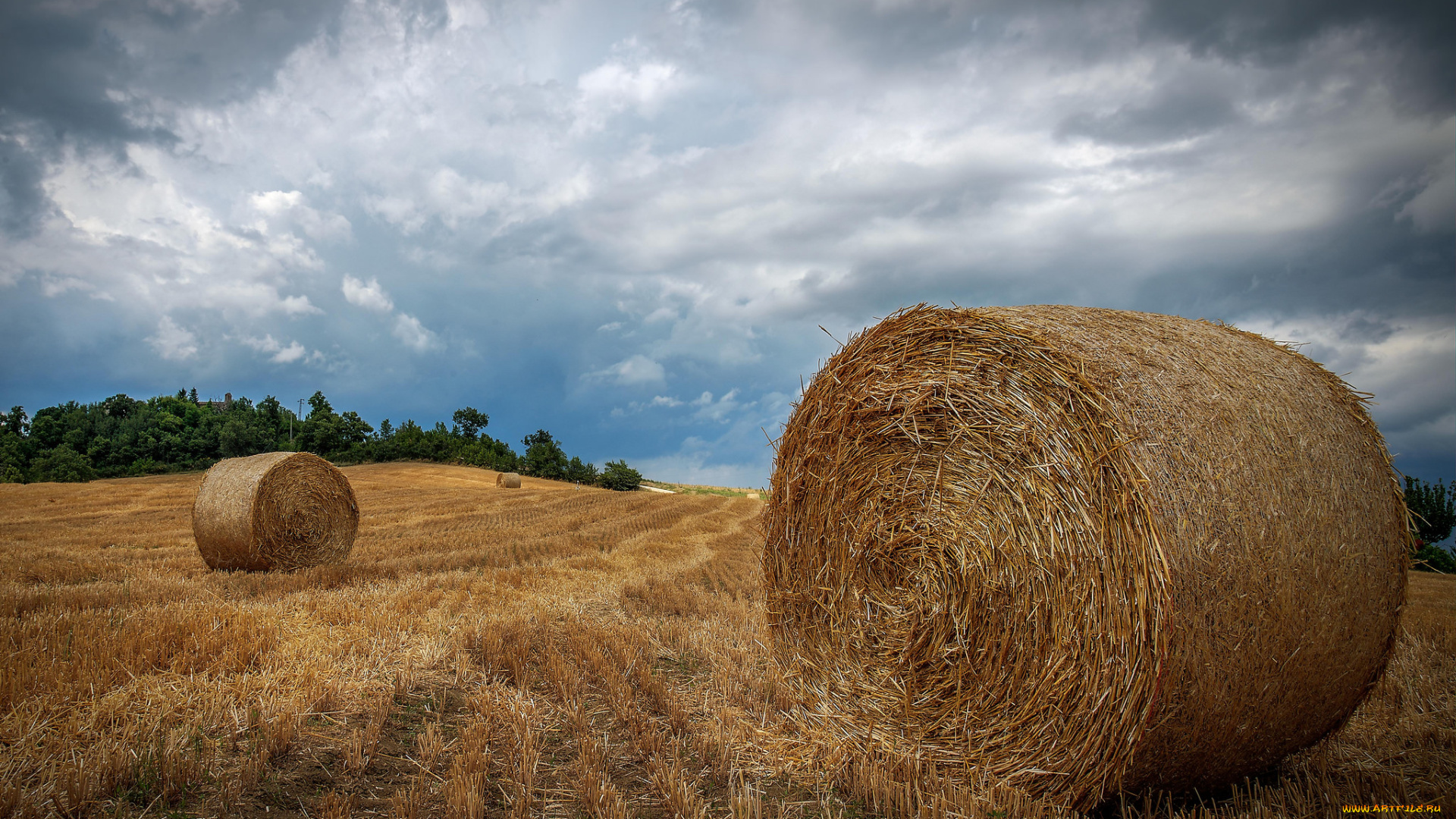 природа, поля, тучи, стога, поле