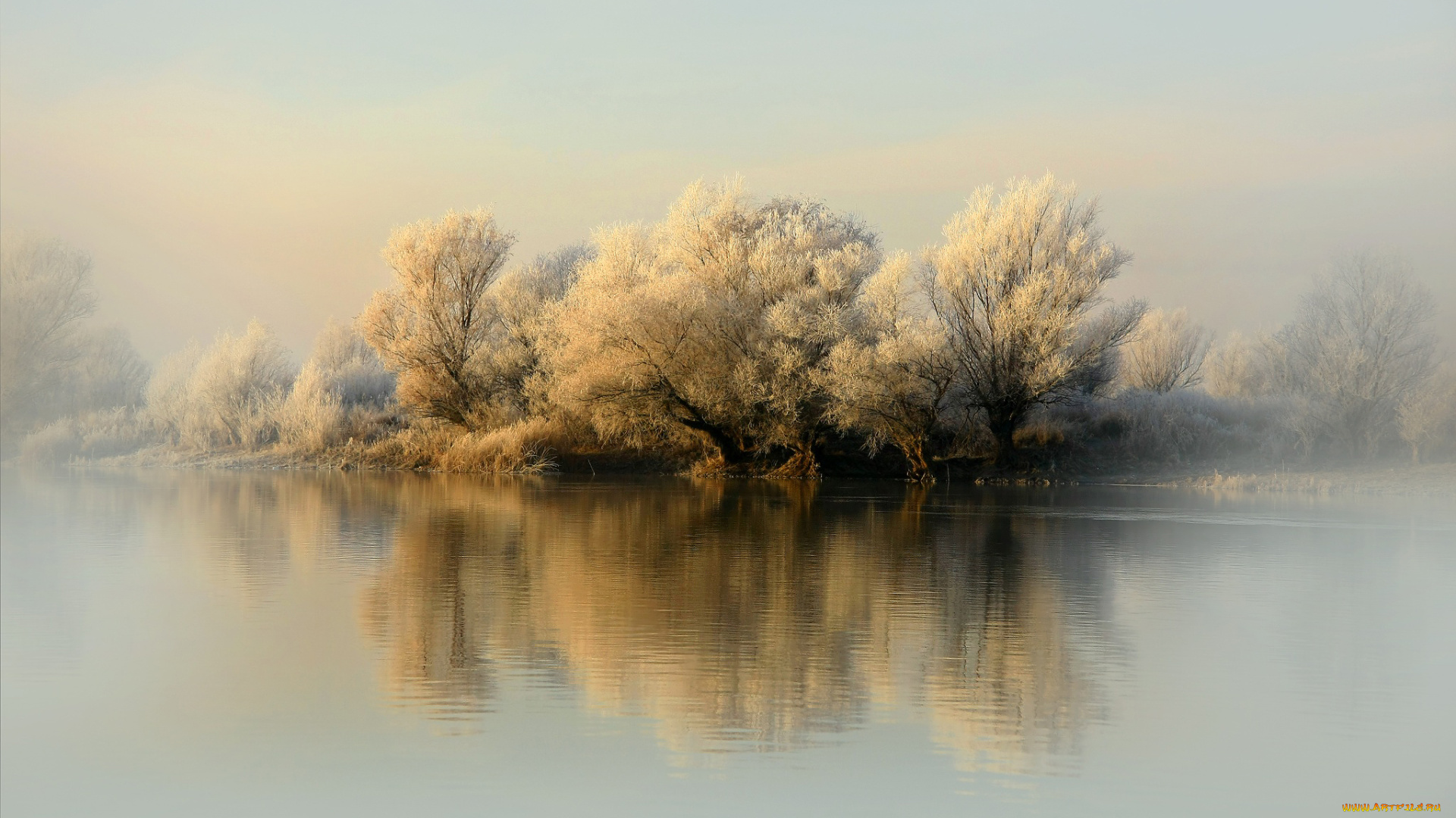 природа, реки, озера, иней, деревья, первый, снег, река, зима