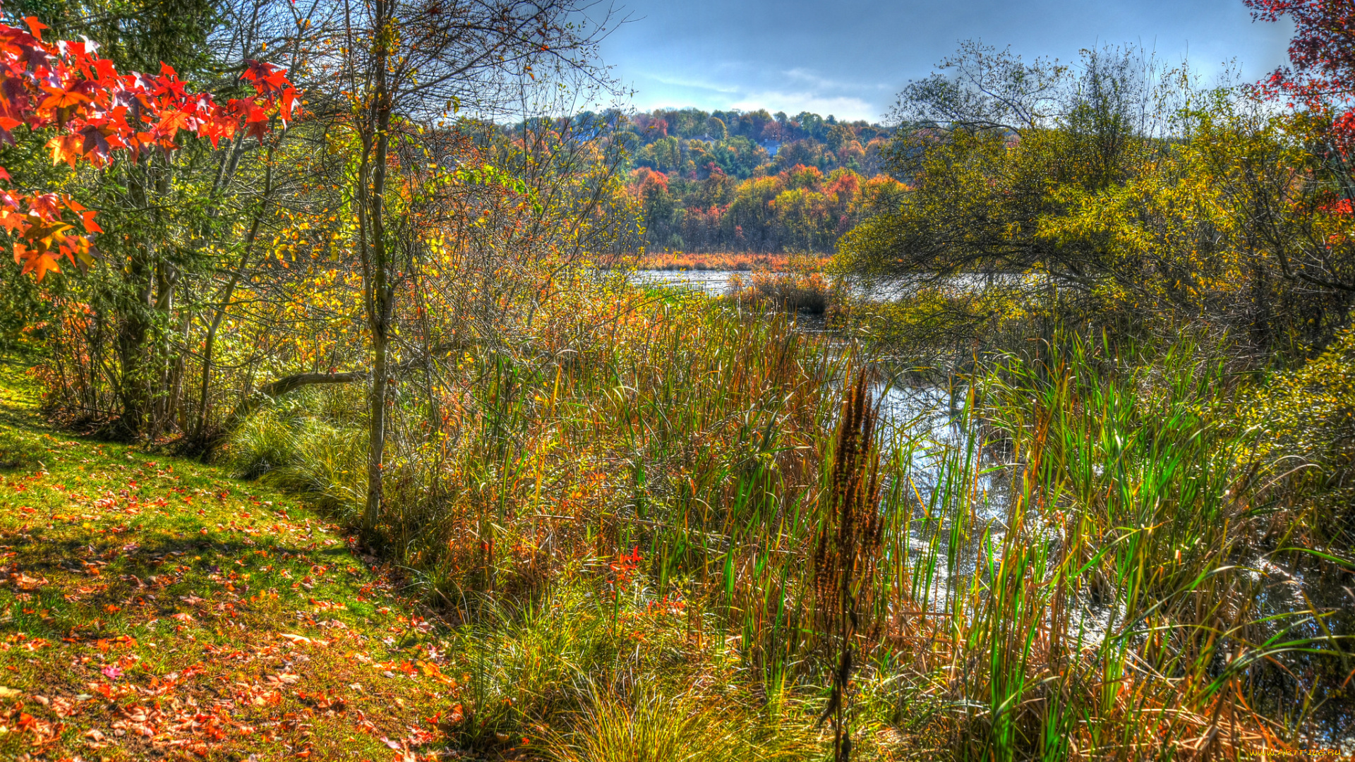 природа, реки, озера, краски, река, осень, лес