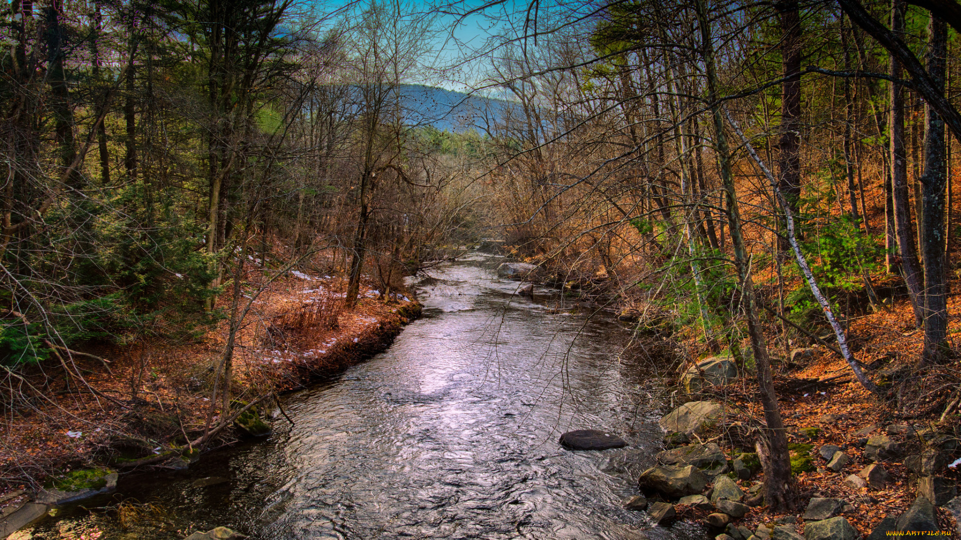 природа, реки, озера, осень, река, лес