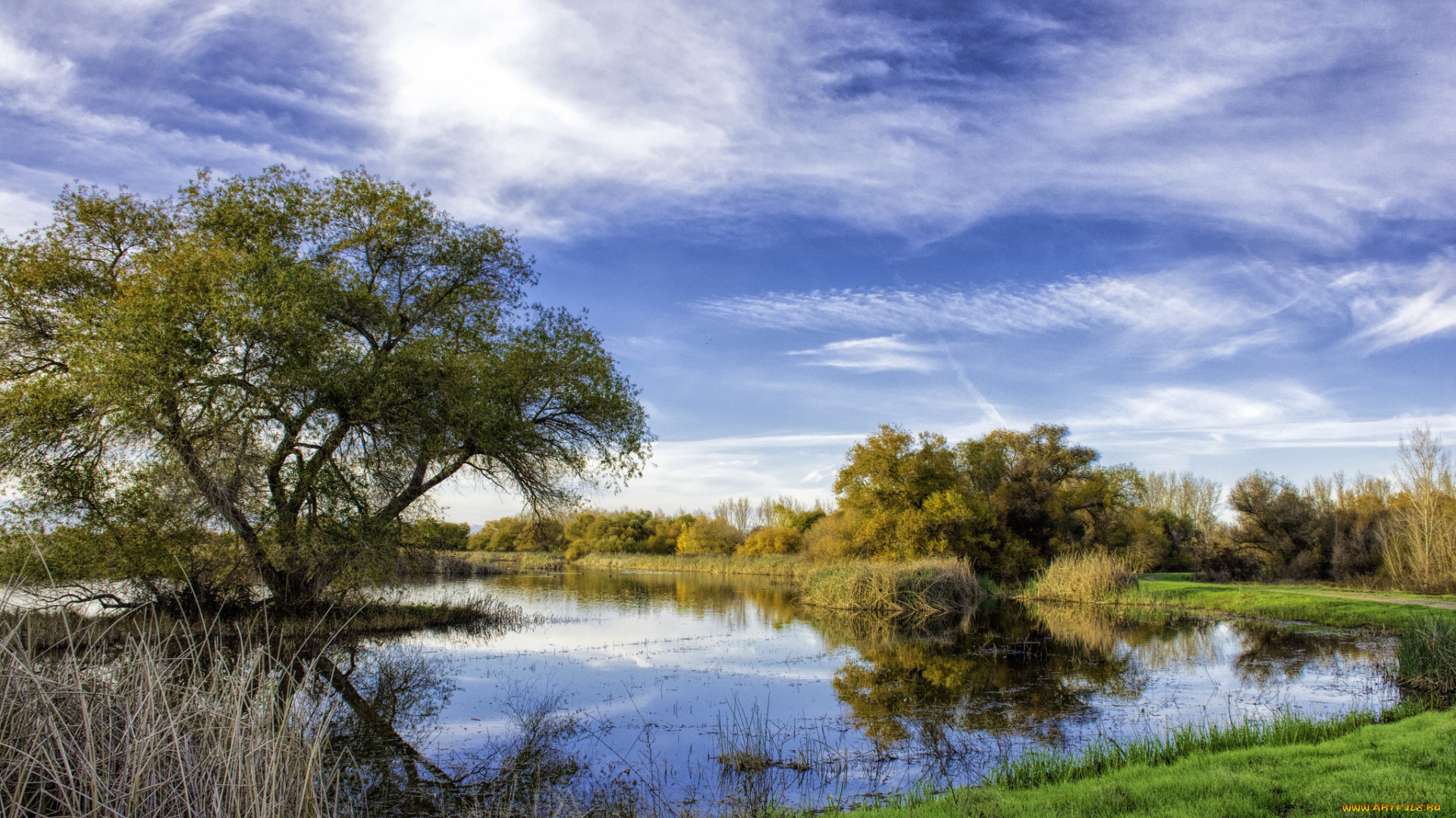 природа, реки, озера, островок, озеро, деревья