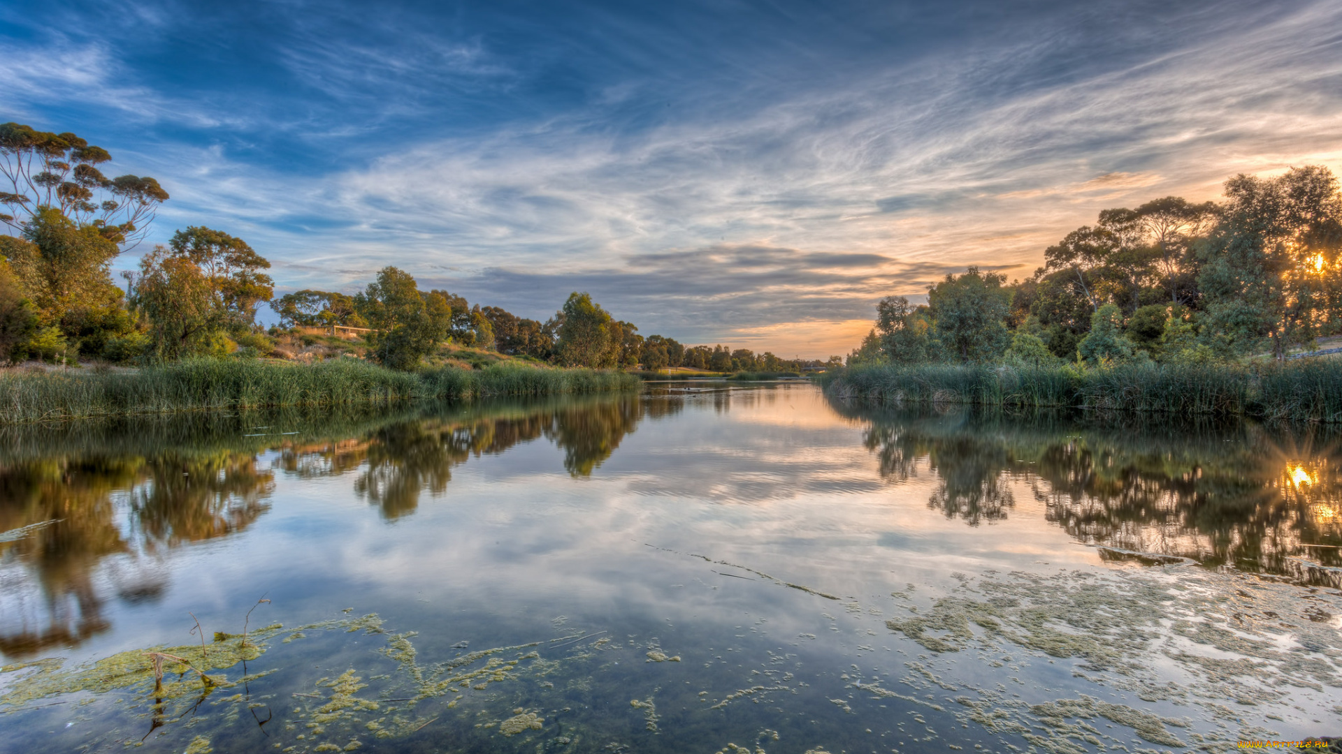 природа, реки, озера, река, лес, рассвет