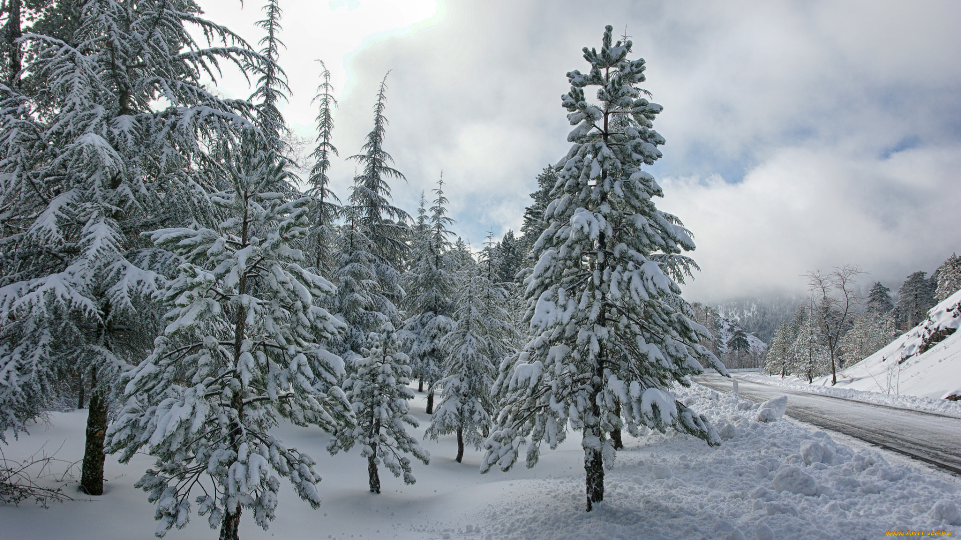 природа, зима, дорога, ели, снег