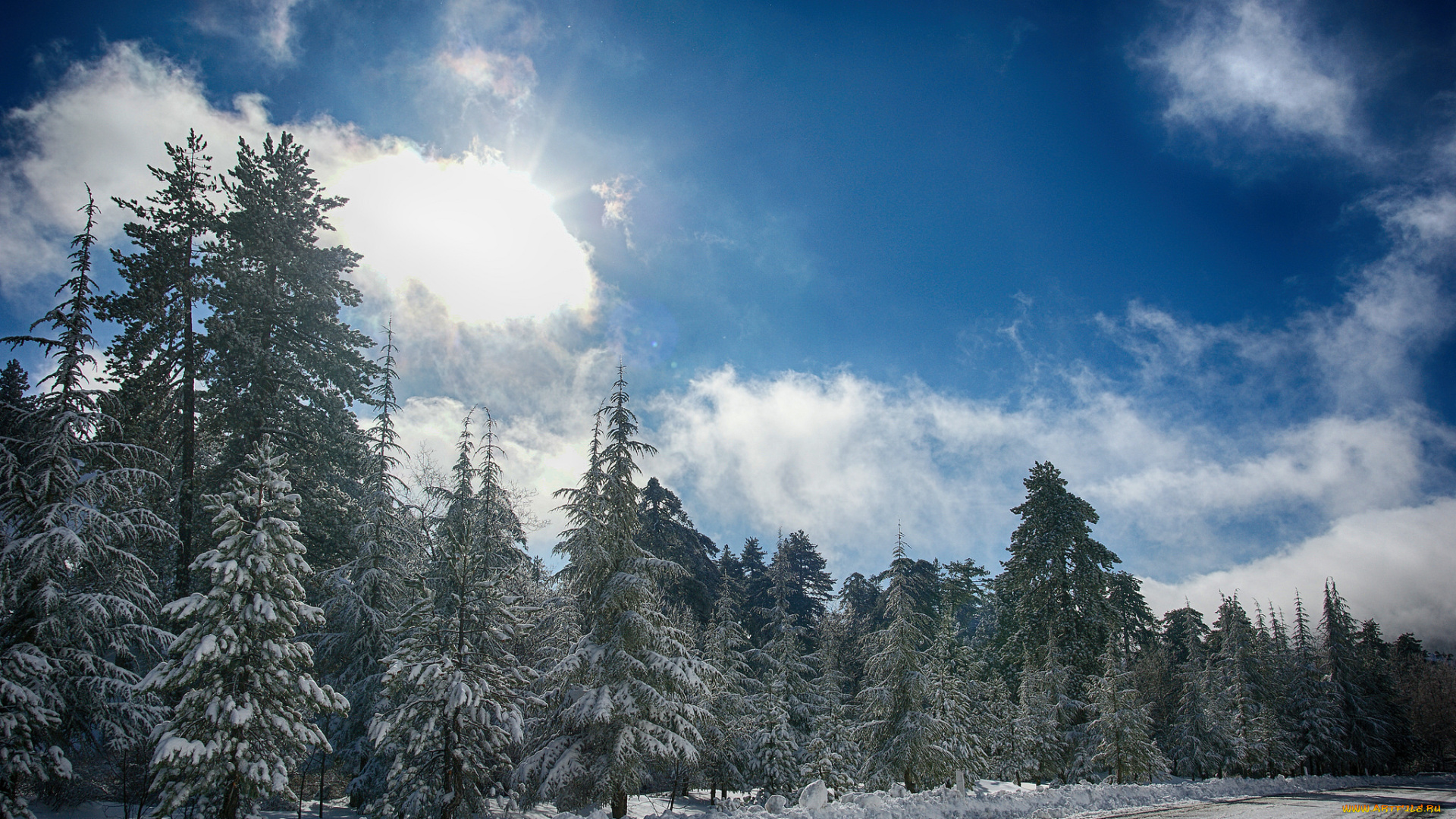 природа, зима, ели, снег, дорога