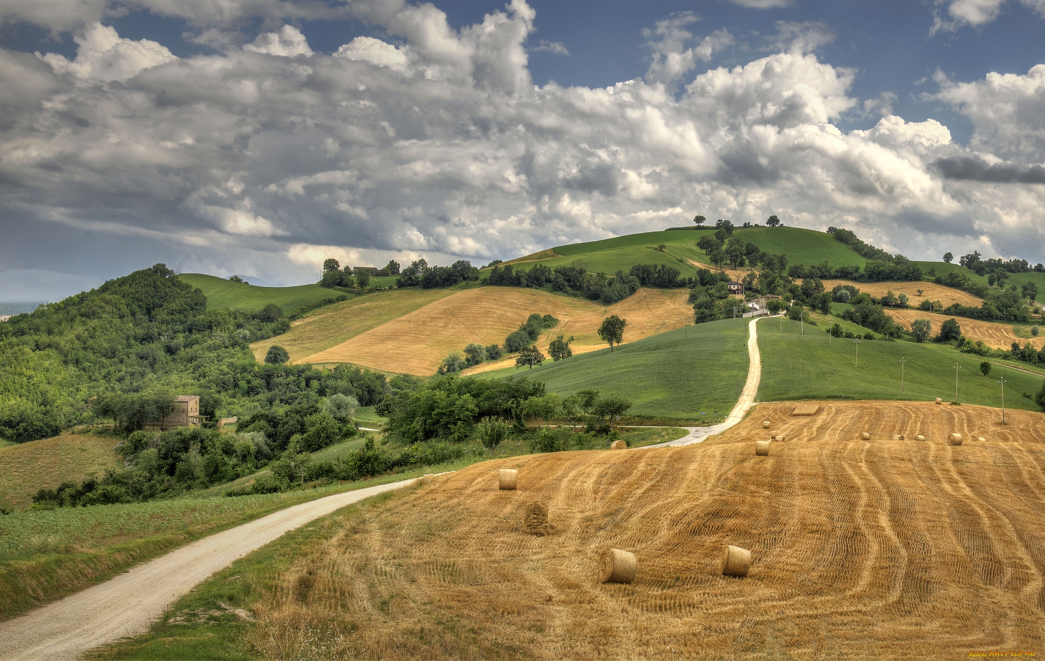 природа, поля, тракт, холмы