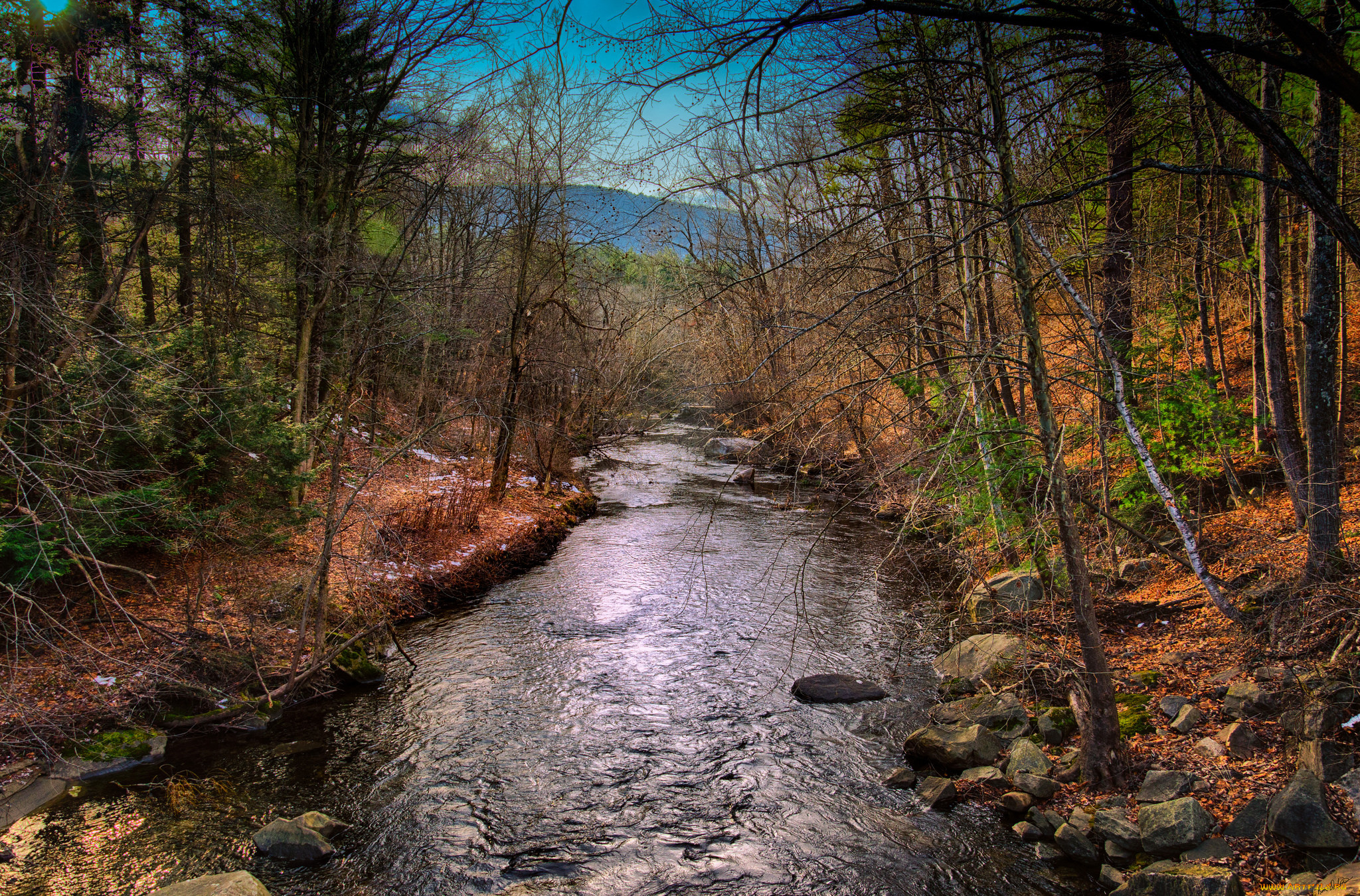 природа, реки, озера, осень, река, лес