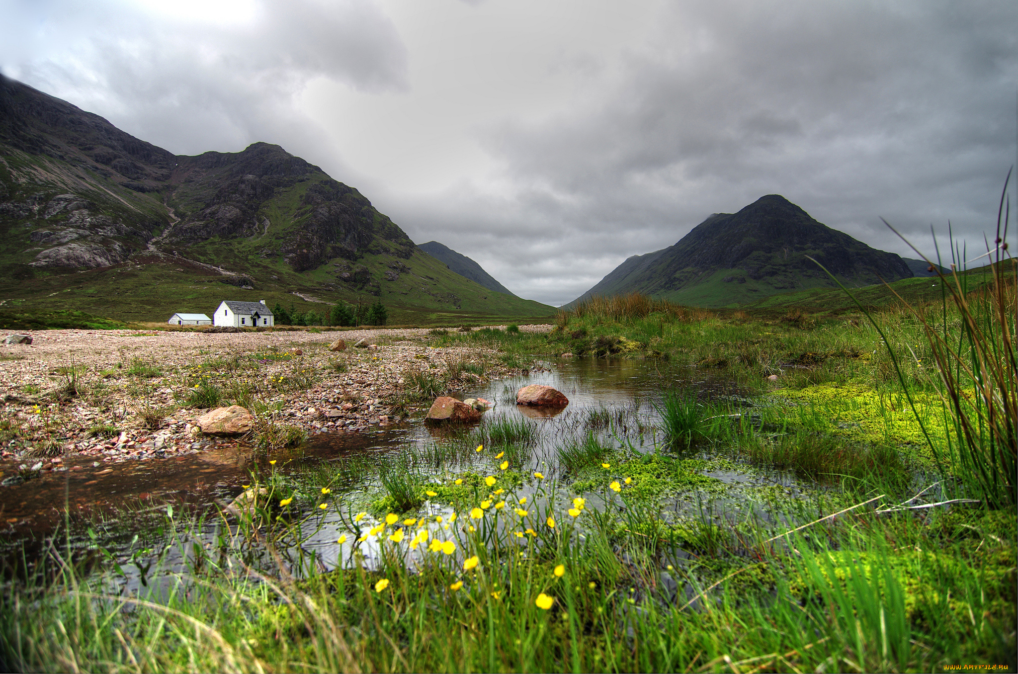 природа, реки, озера, ручей, луг, горы