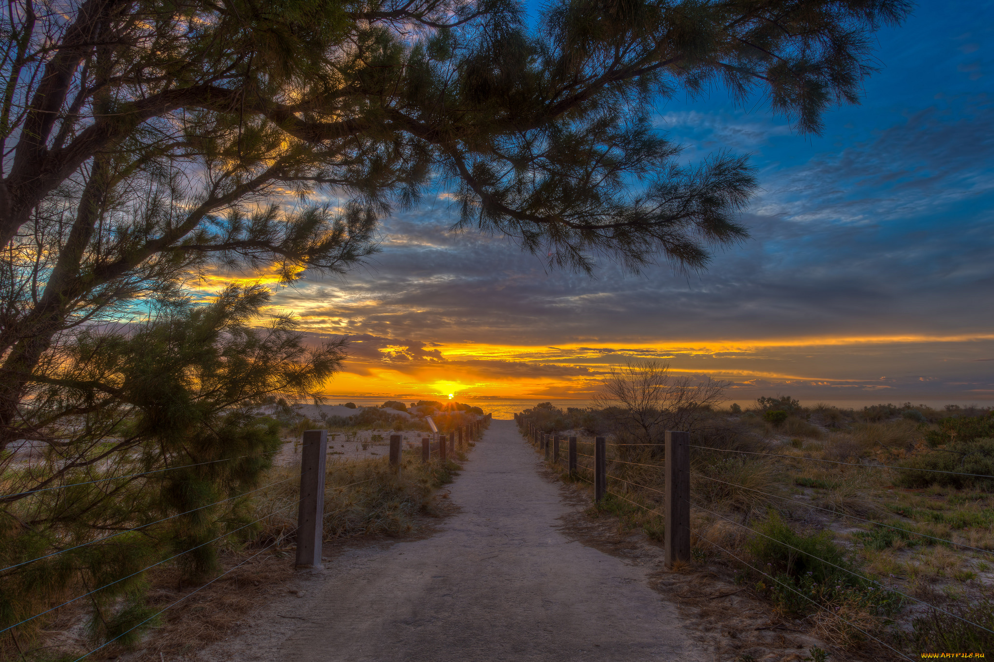 природа, дороги, рассвет, изгородь, дорога, степь