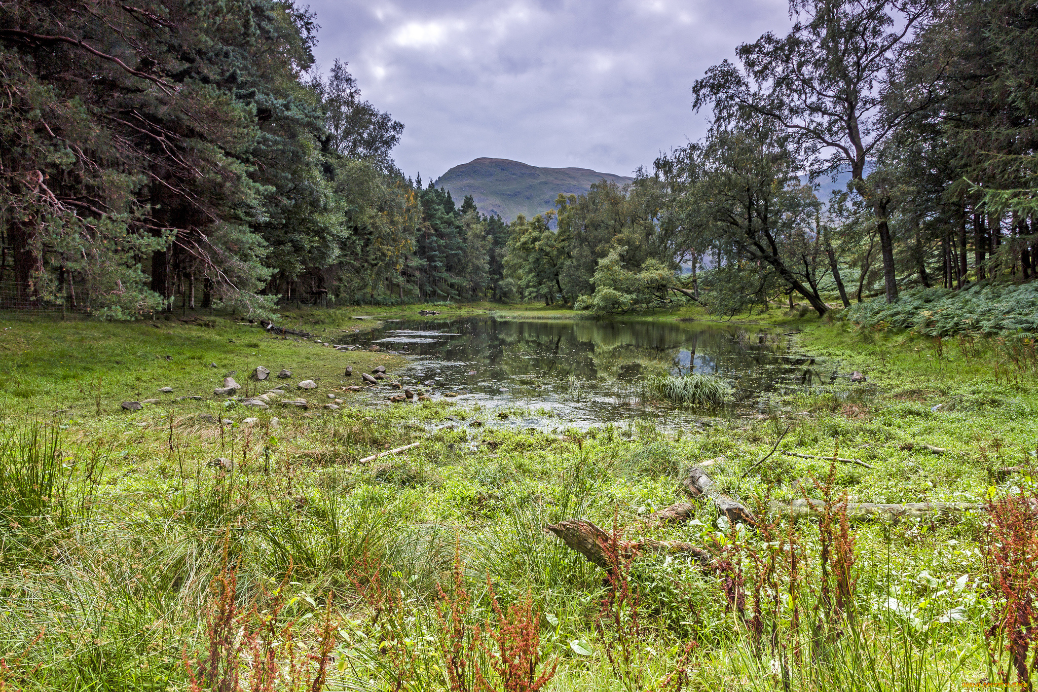 природа, реки, озера, река, горы, лес