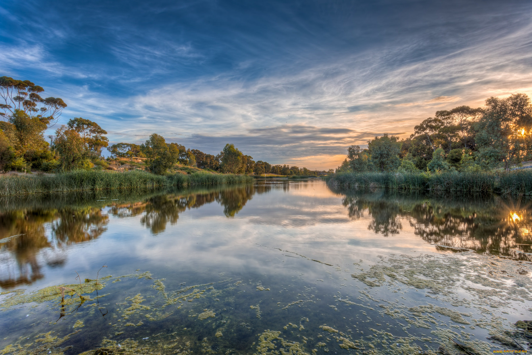 природа, реки, озера, река, лес, рассвет