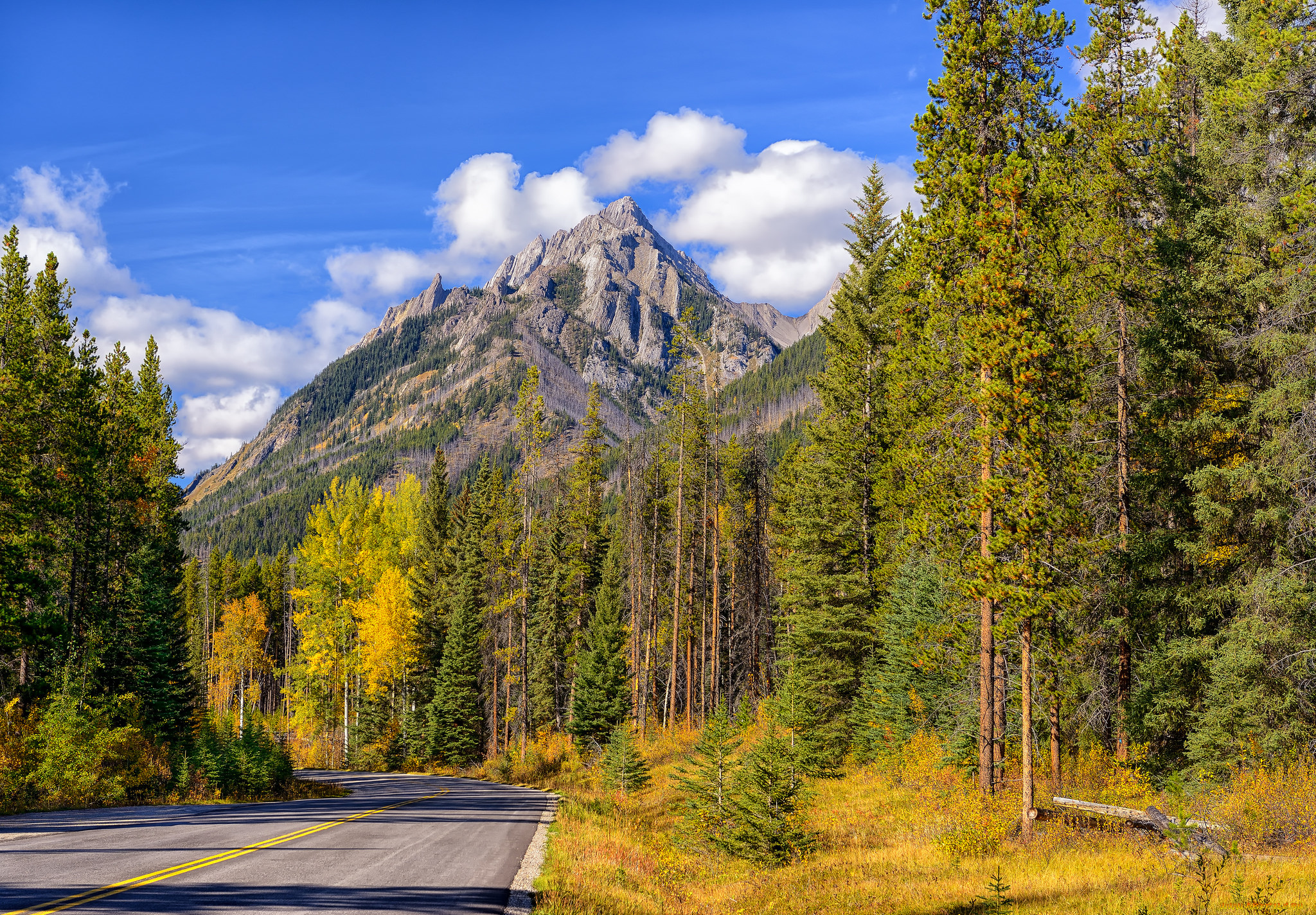 природа, дороги, шоссе, лес, горы