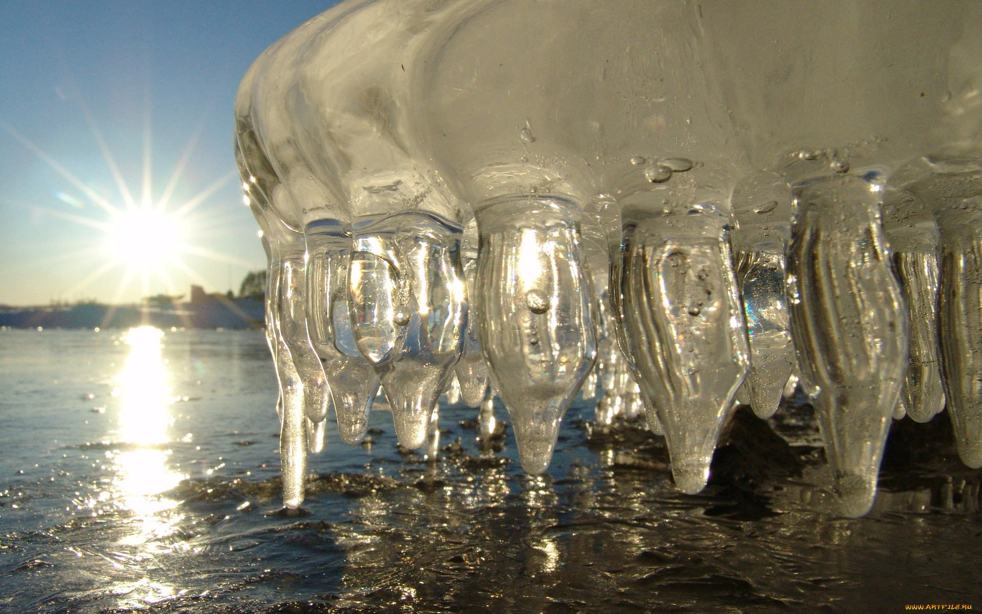 природа, макро, вода, солнце, весна, сосульки