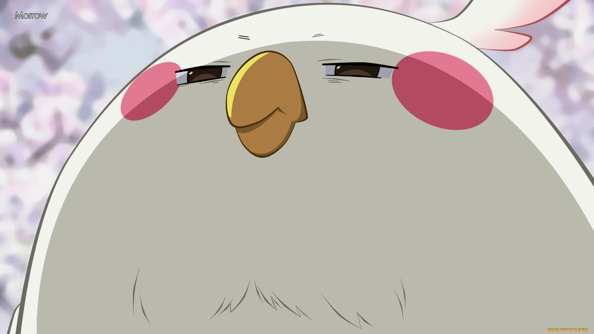 аниме, tamako, market, dera, mochimazzi