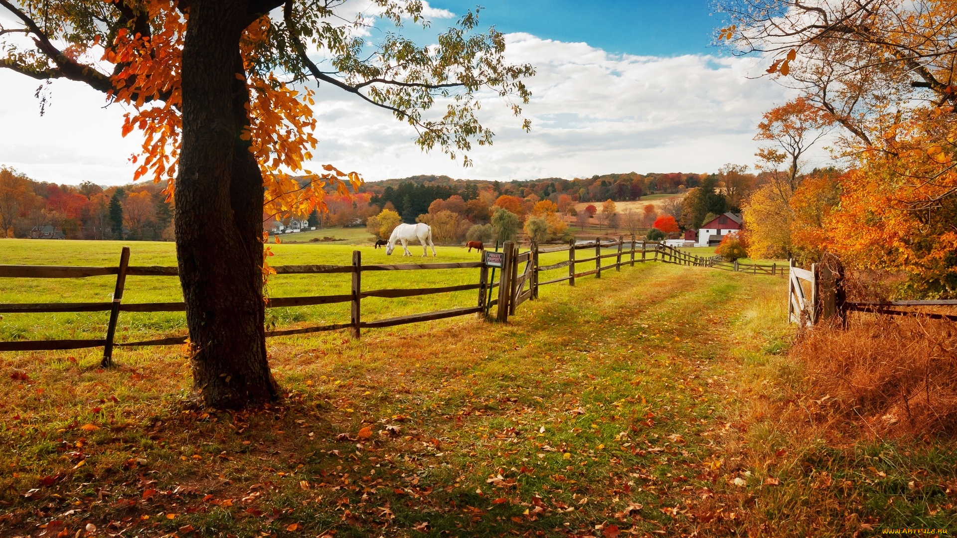 хантингдон-вэлли, , пенсильвания, , сша, животные, лошади, деревья, осень, селение, ограда, луг