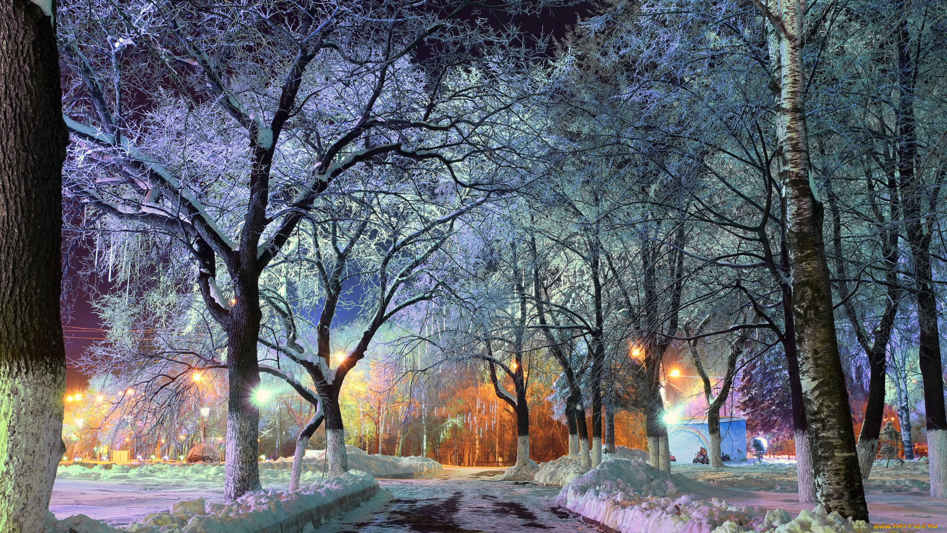 природа, зима, вечер, нью-йорк, иллюминация, центральный, парк, огни