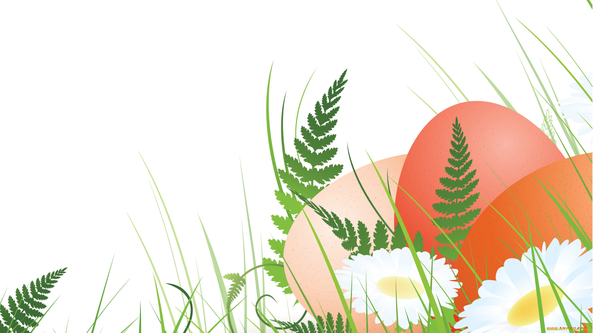 векторная, графика, еда, , food, яйца