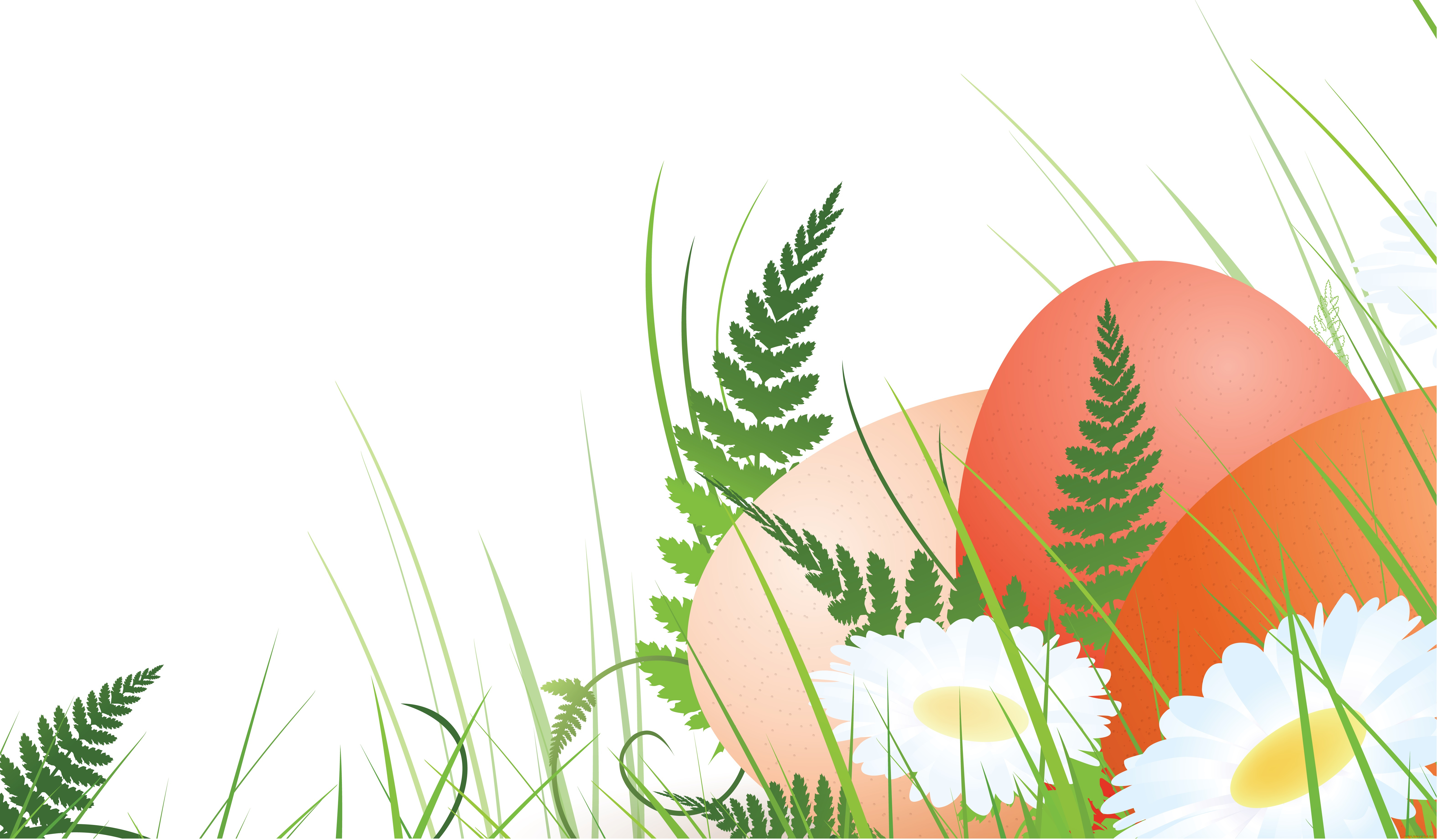 векторная, графика, еда, , food, яйца