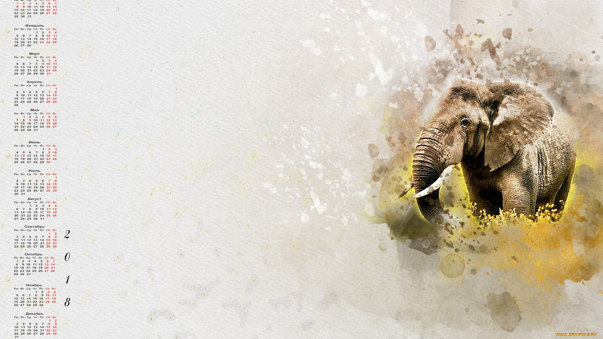 календари, компьютерный, дизайн, 2018, слон, узор