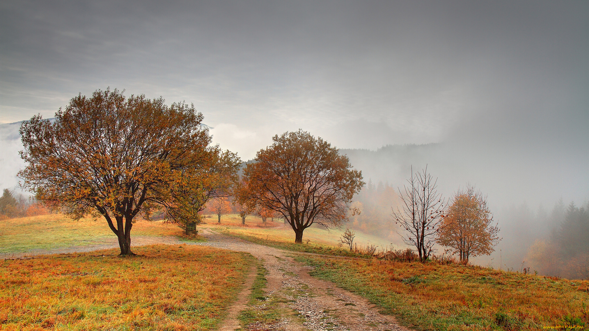 природа, дороги, простор