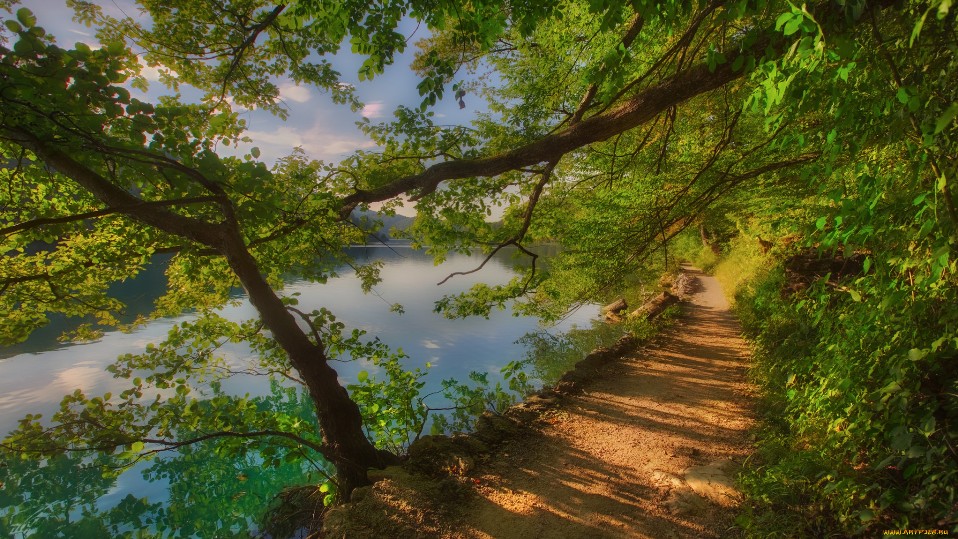 природа, дороги, простор