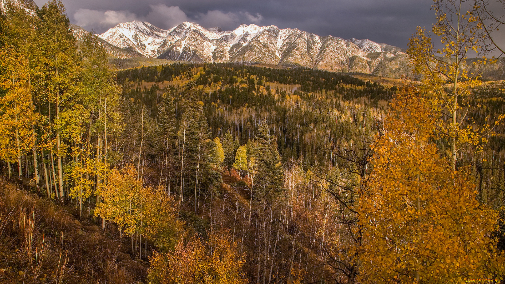 природа, горы, простор