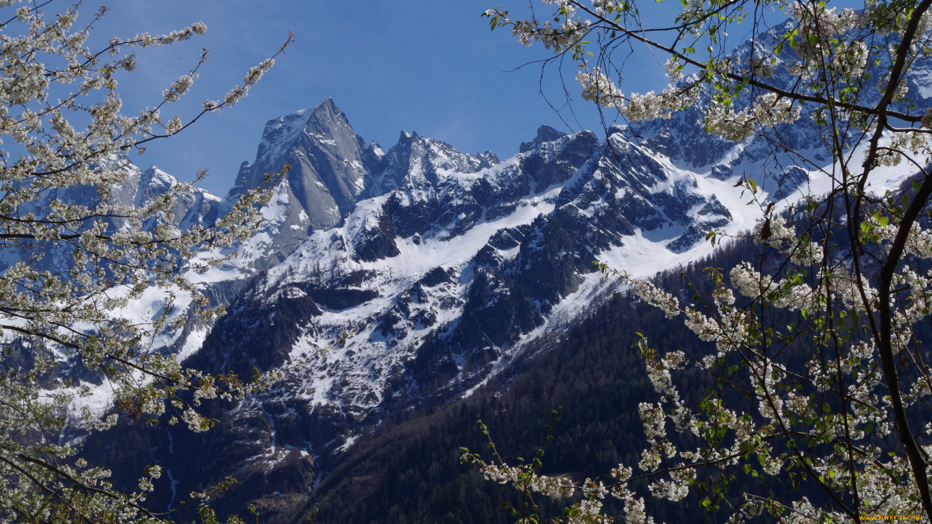 природа, горы, простор