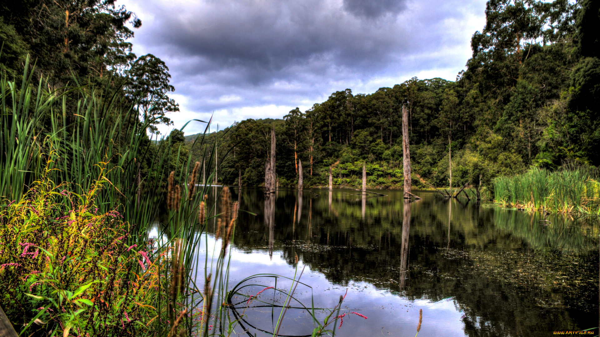 природа, реки, озера, простор