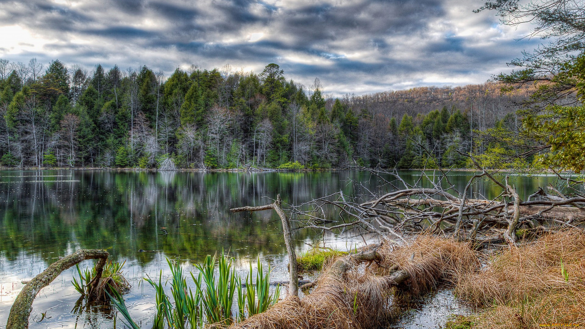 природа, реки, озера, простор