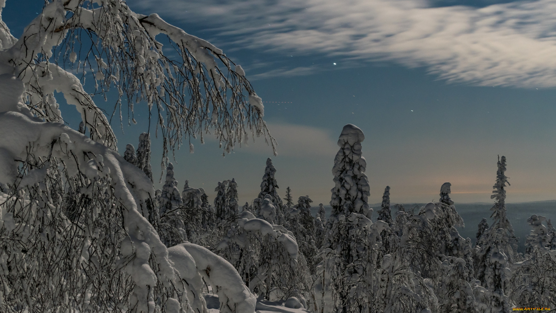 природа, зима, простор