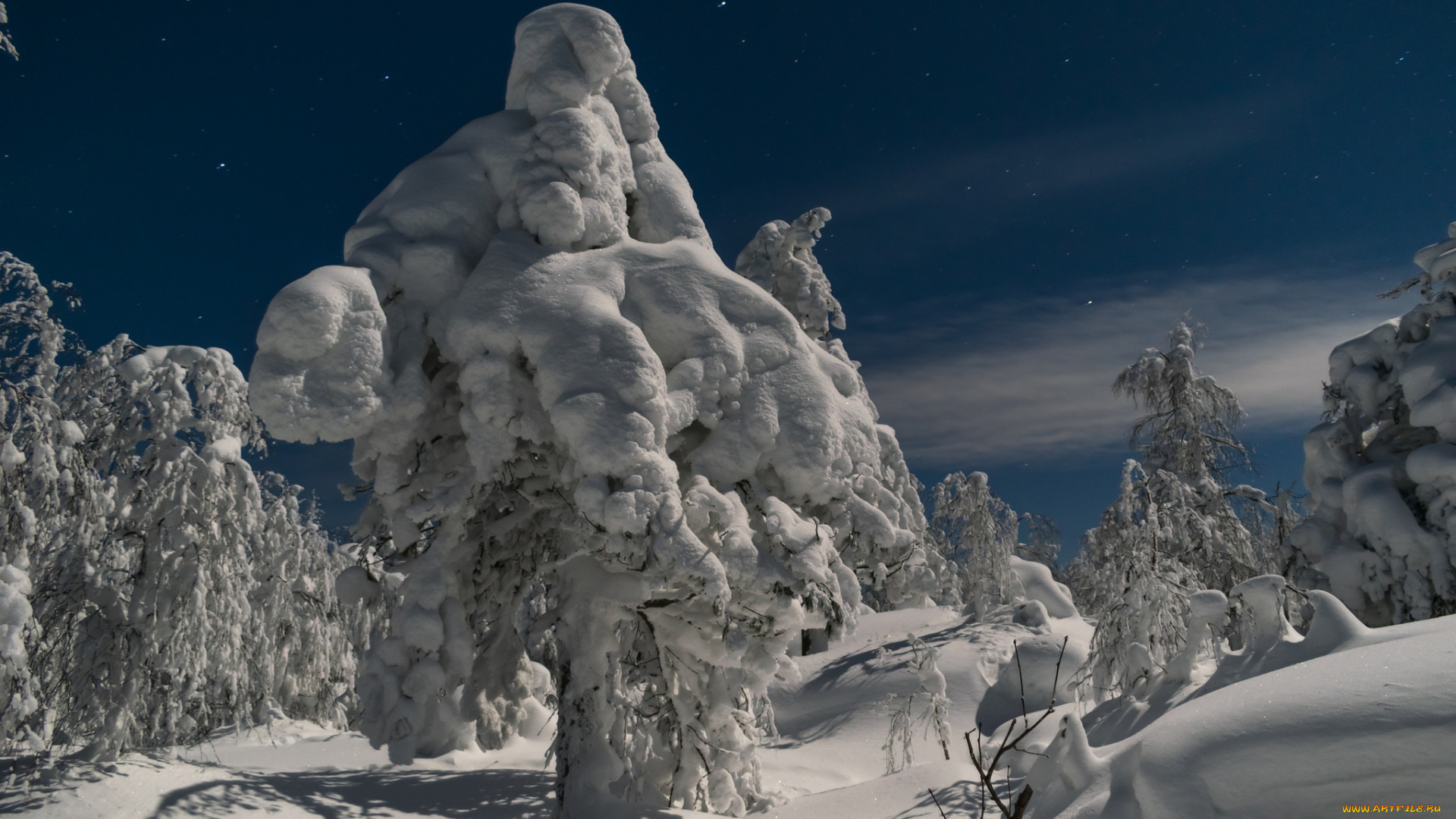 природа, зима, простор